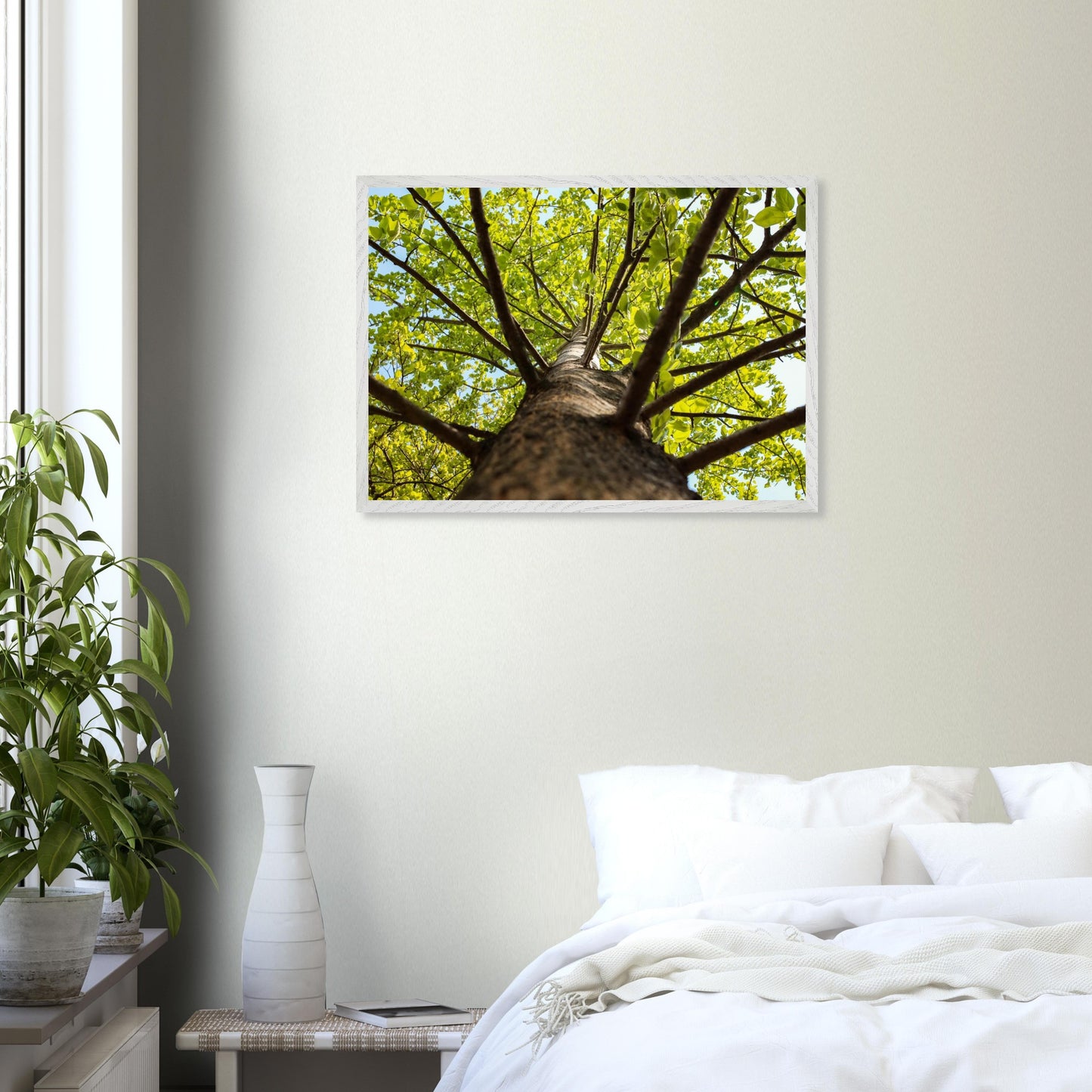 81592048-beb9-4520-b0ca-9ed2024eeba6