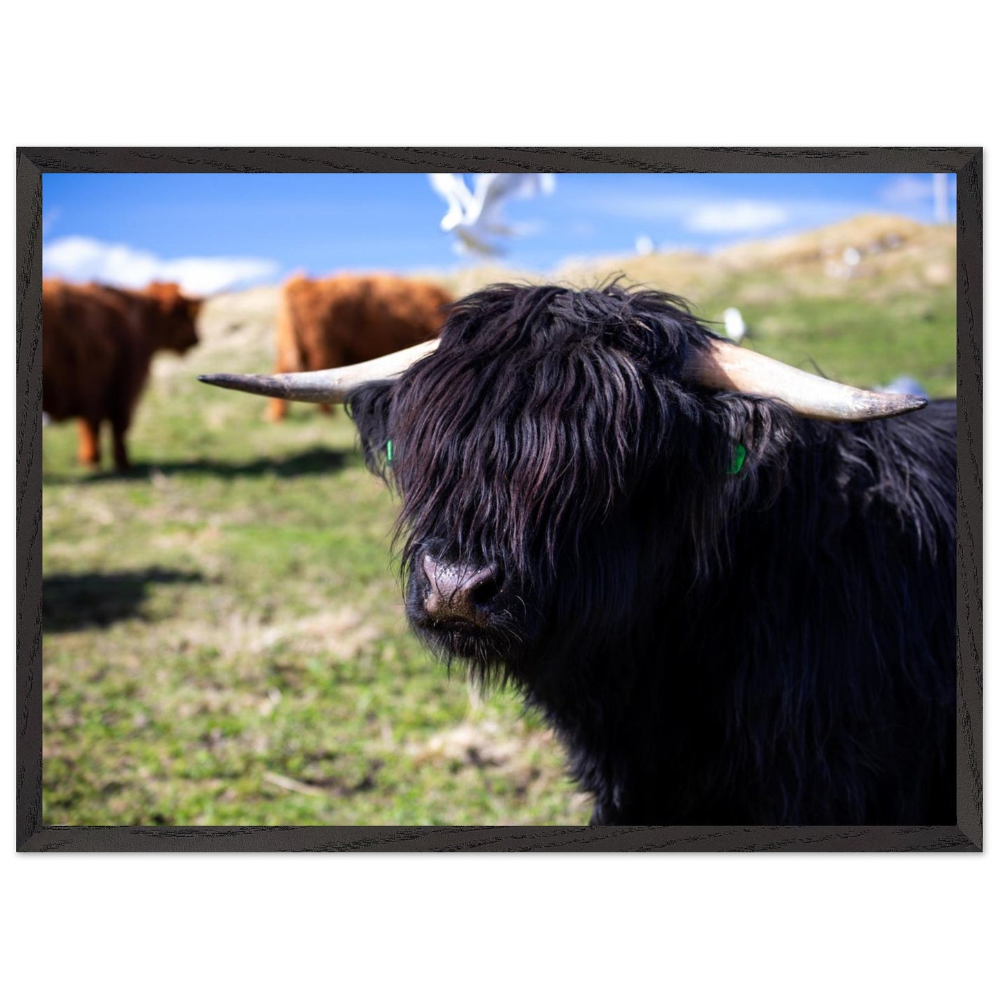 81c917f7-083d-46a4-b218-0d109aa503ad