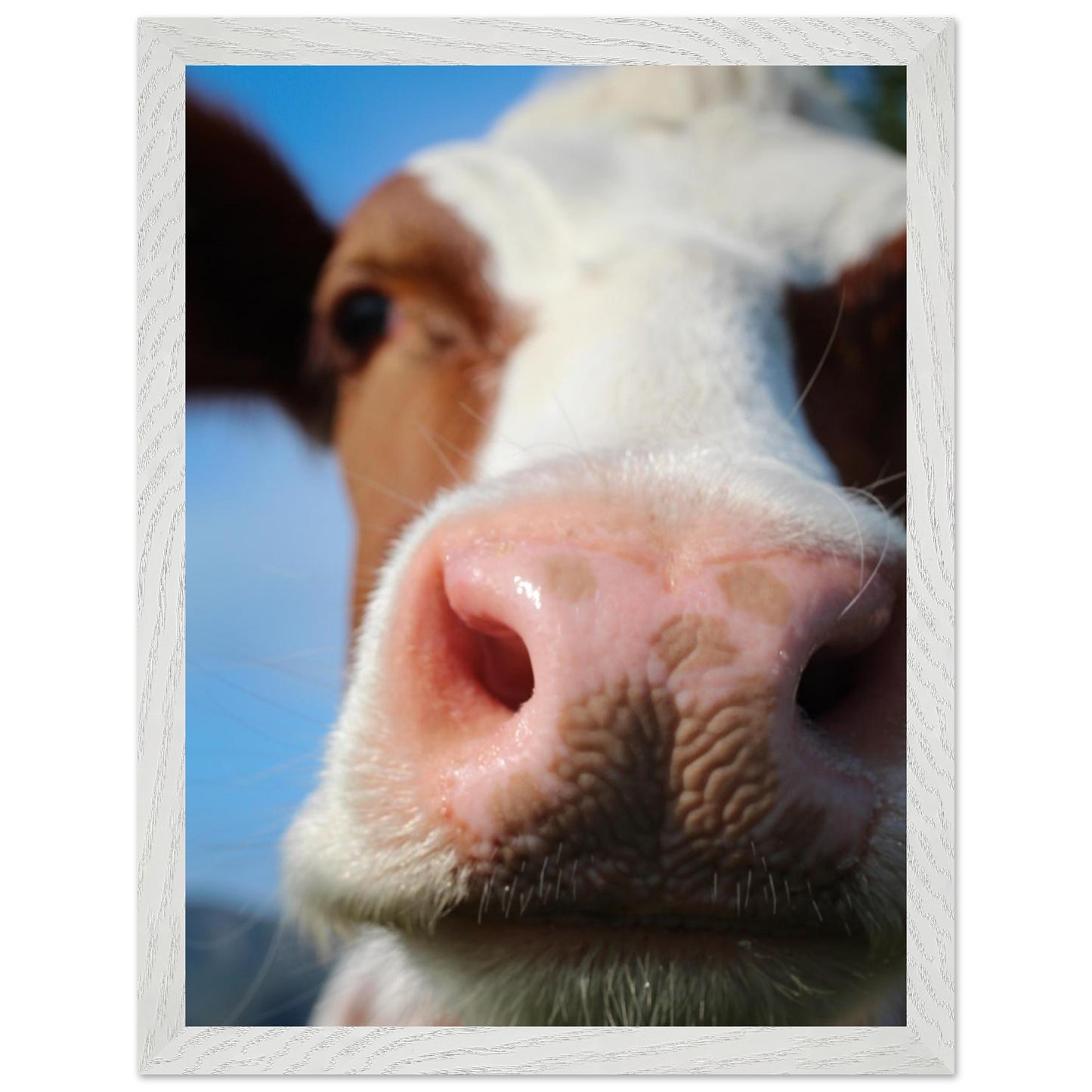 825bdec7-672b-433f-830b-7490e863d074