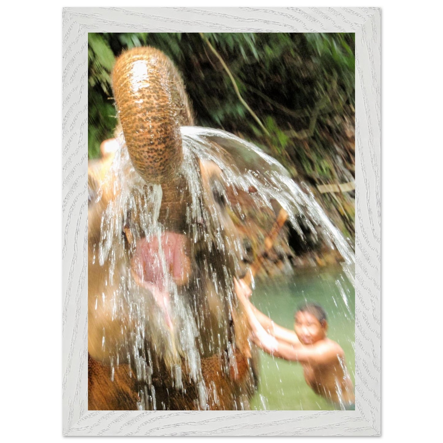 83499c1f-6d59-4462-89b6-a1d42bb82bc4