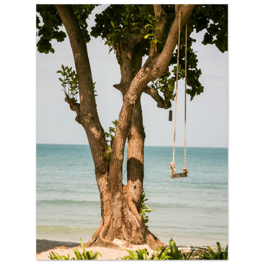 8475dc37-2ca9-4ca2-b85b-1328a4bbef5e