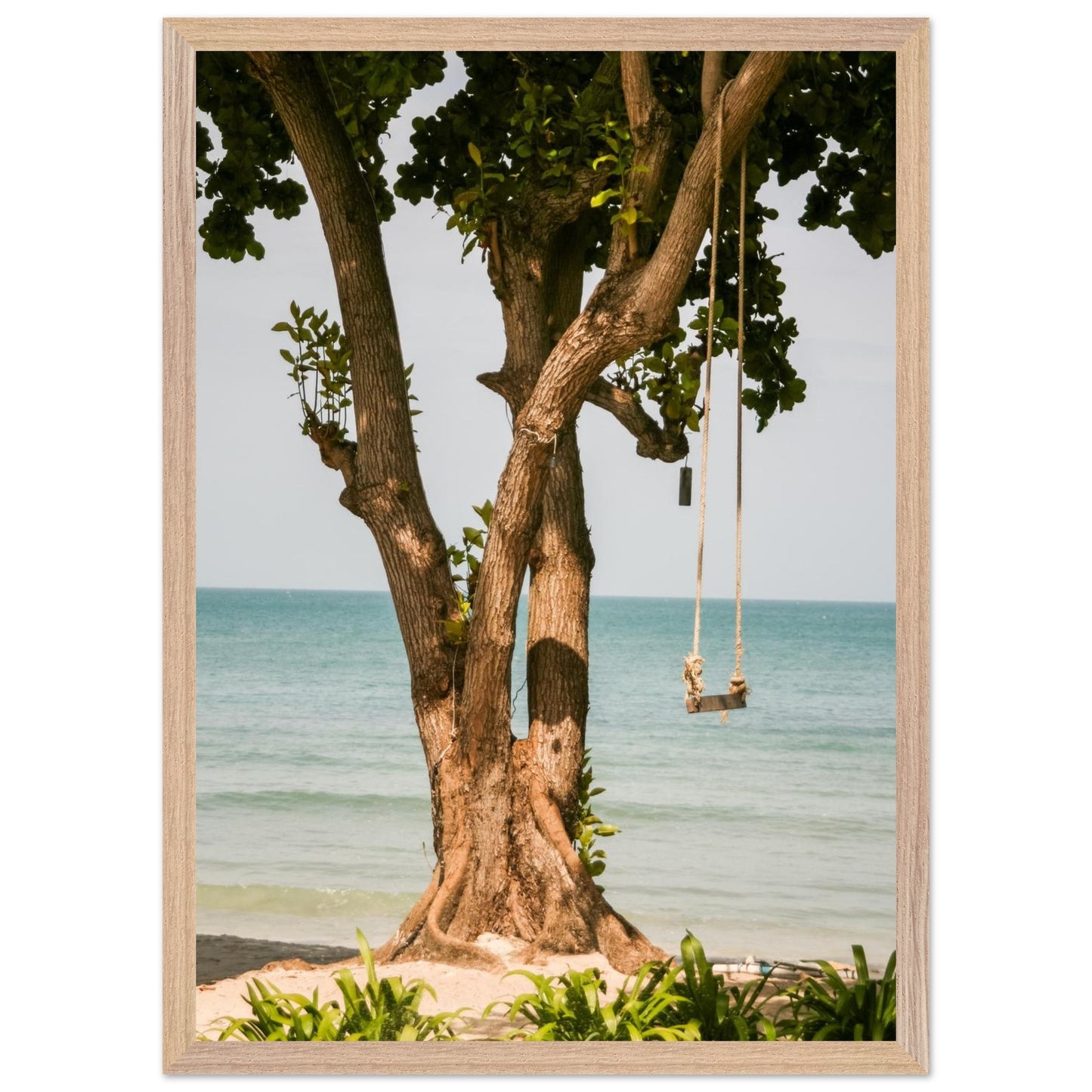 8baf690e-9c8e-49ed-82f8-4d302bd5ce65