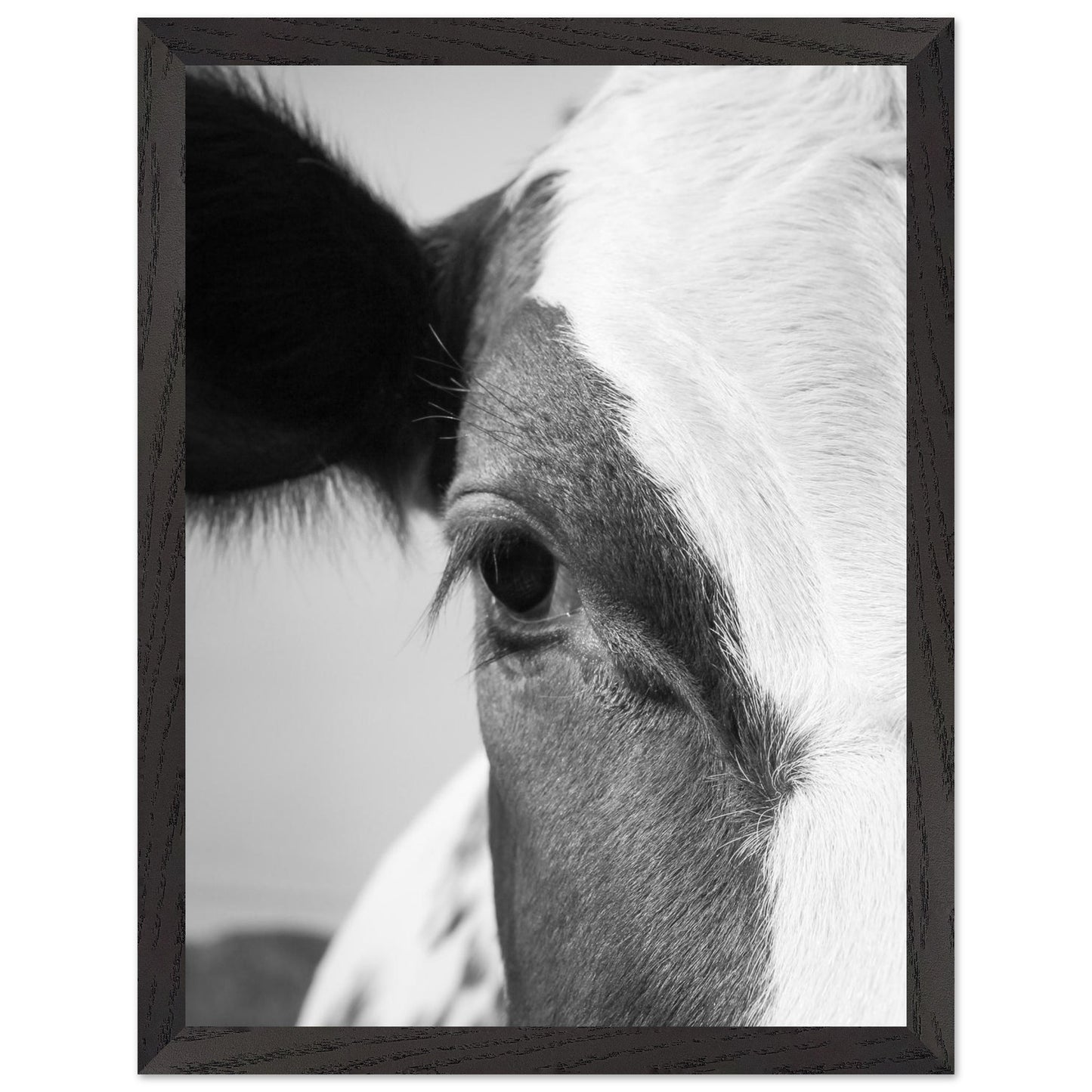 934e010c-a495-4fd1-ab75-bb95522977c1