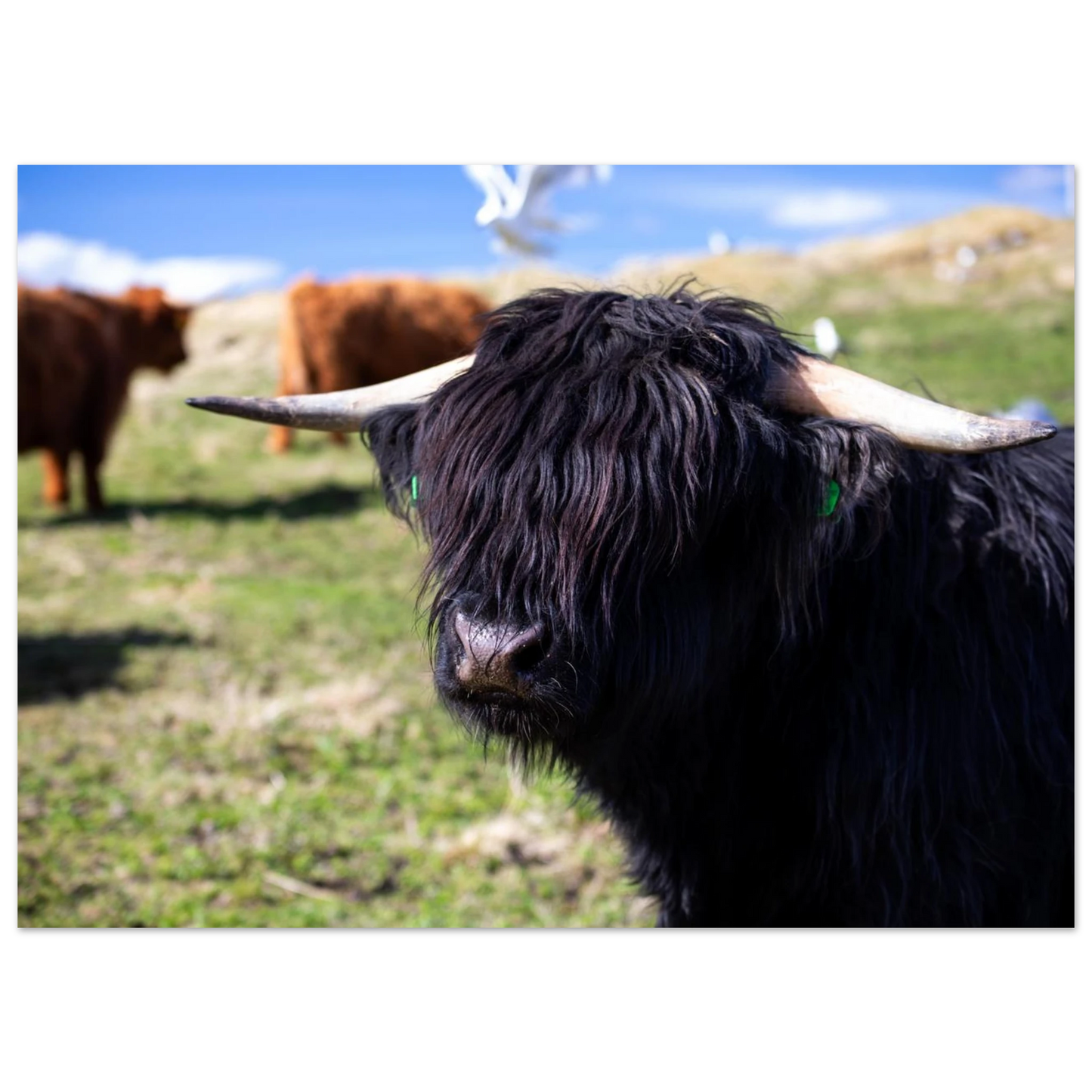 935d7aa0-7758-4825-bd1e-8b35567c3e1f