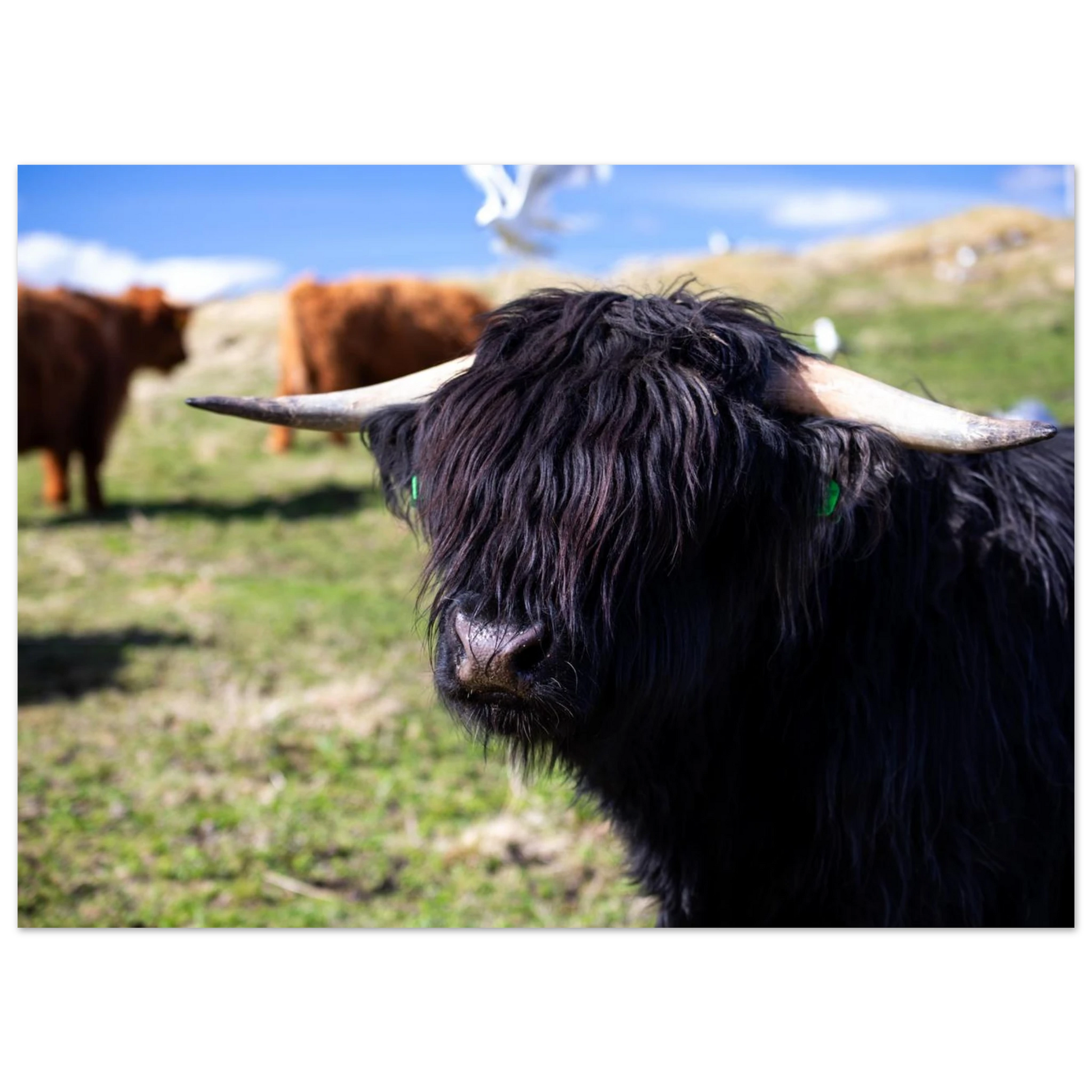 935d7aa0-7758-4825-bd1e-8b35567c3e1f