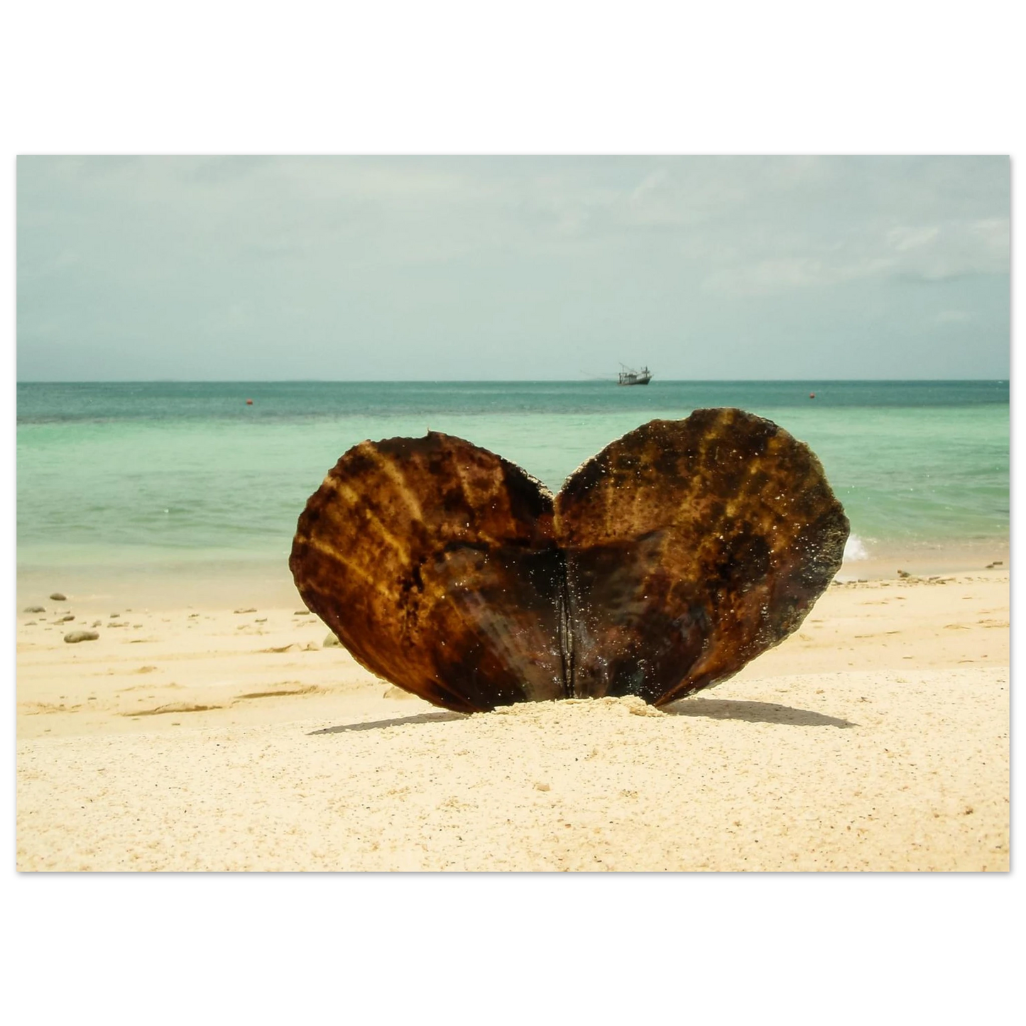 98792980-c2f9-4a17-85f5-a03f67d9e39c