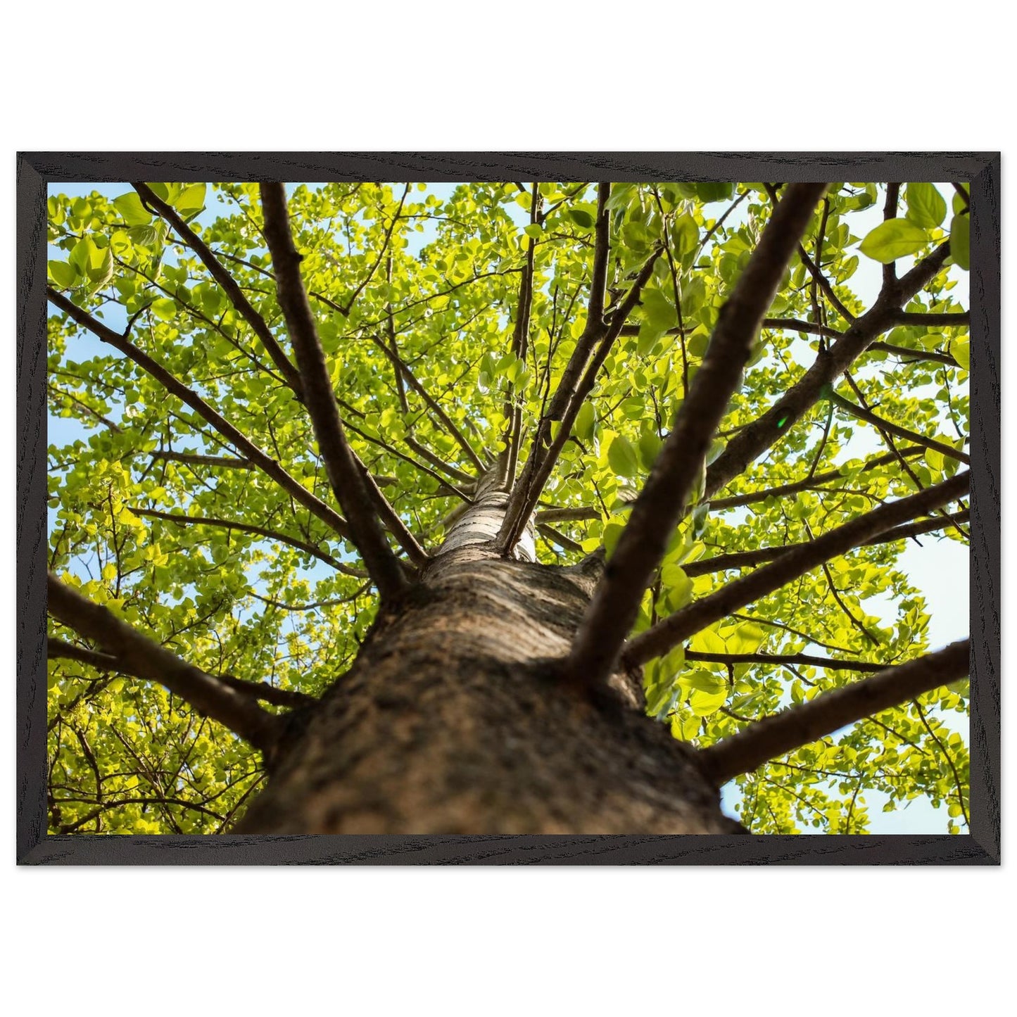 9aedd6b8-7ff2-4dba-875d-0c167eac78f7