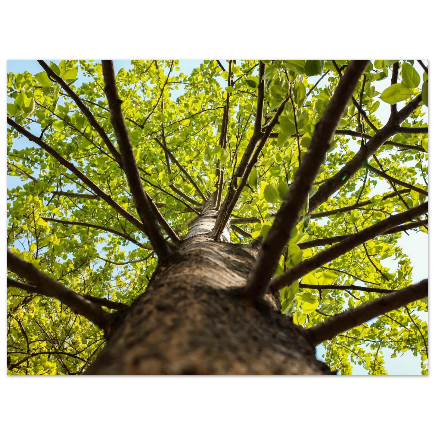 9d724857-2b15-4b5b-8347-41a3bbb39aa3