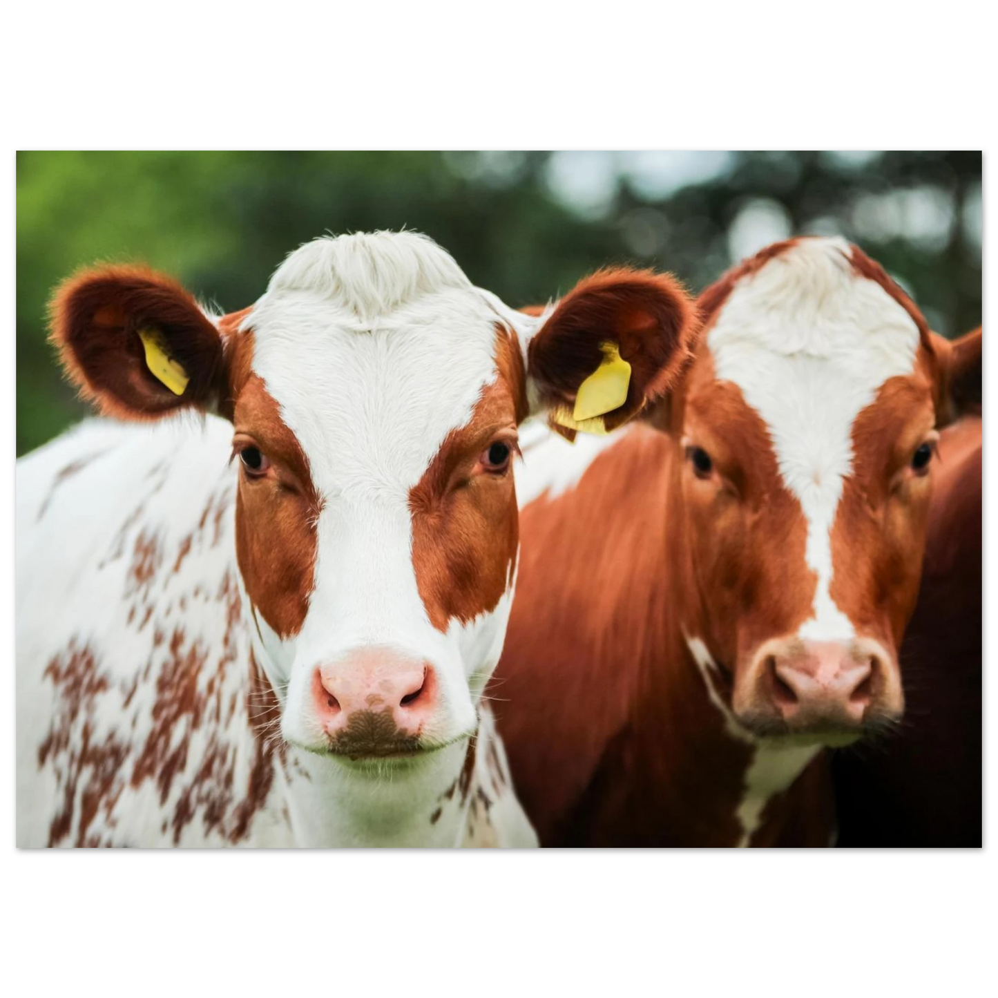 9df07d8c-642f-408b-a8b2-80395434aa22