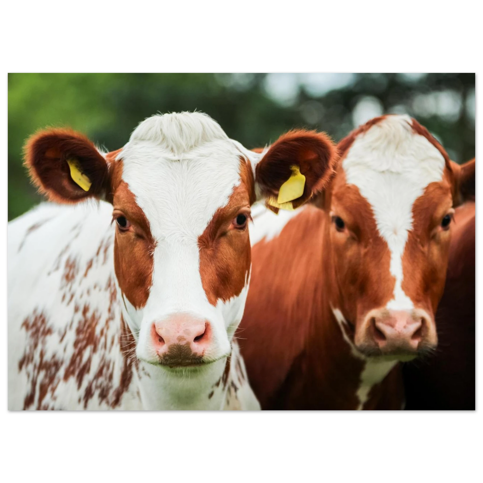 9df07d8c-642f-408b-a8b2-80395434aa22