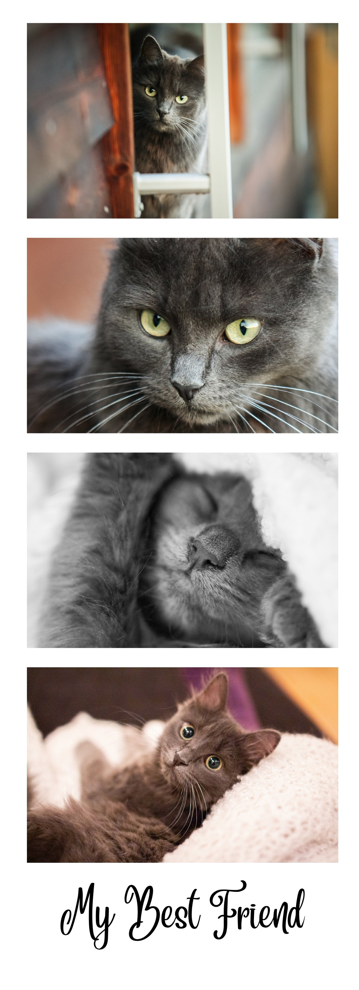 Myk fotomagnet - stripe