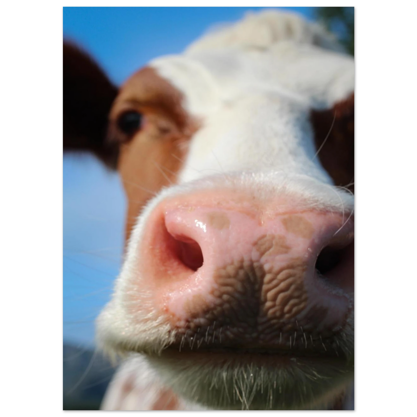 a04db765-b3cc-43eb-bac2-4fe4ea812606