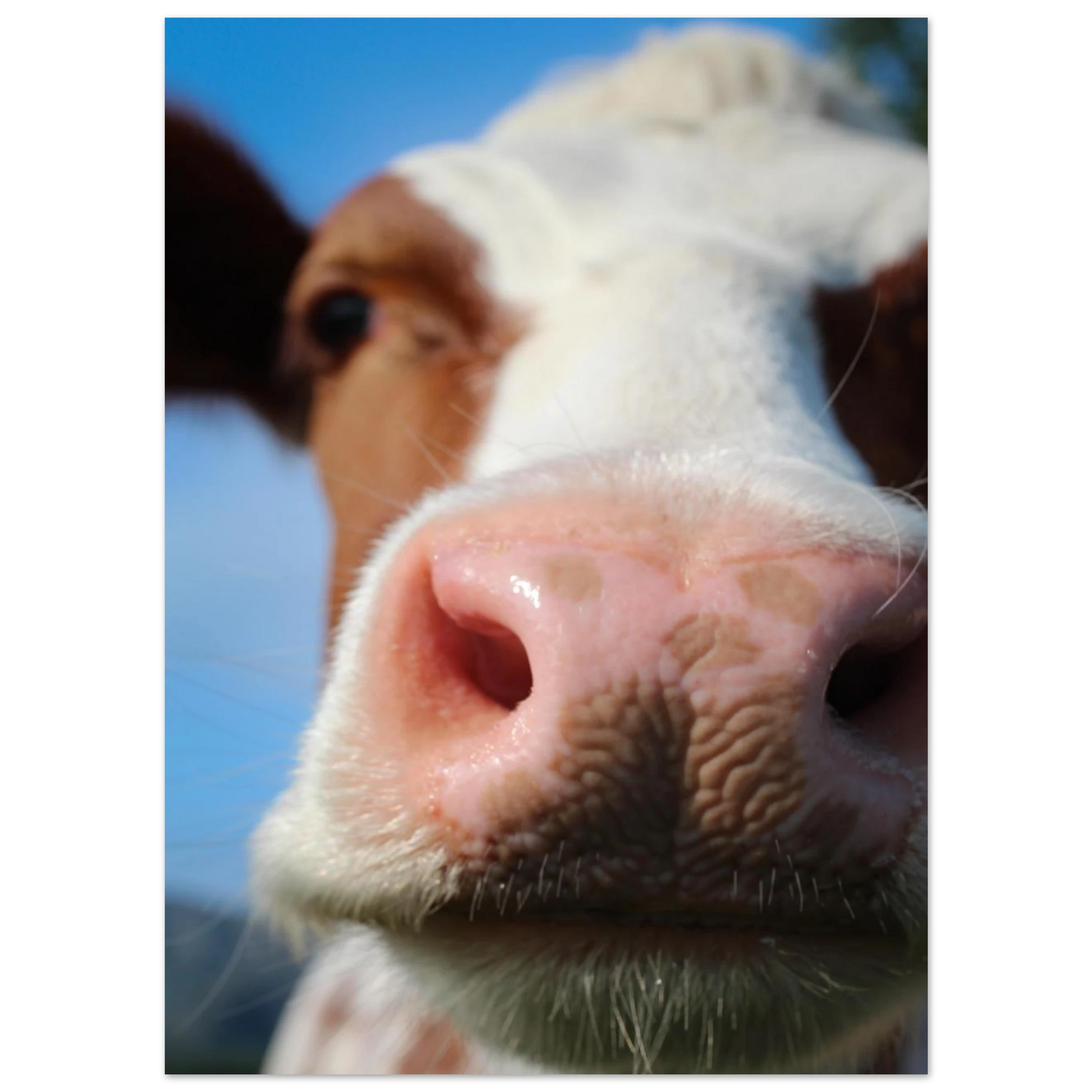 a04db765-b3cc-43eb-bac2-4fe4ea812606