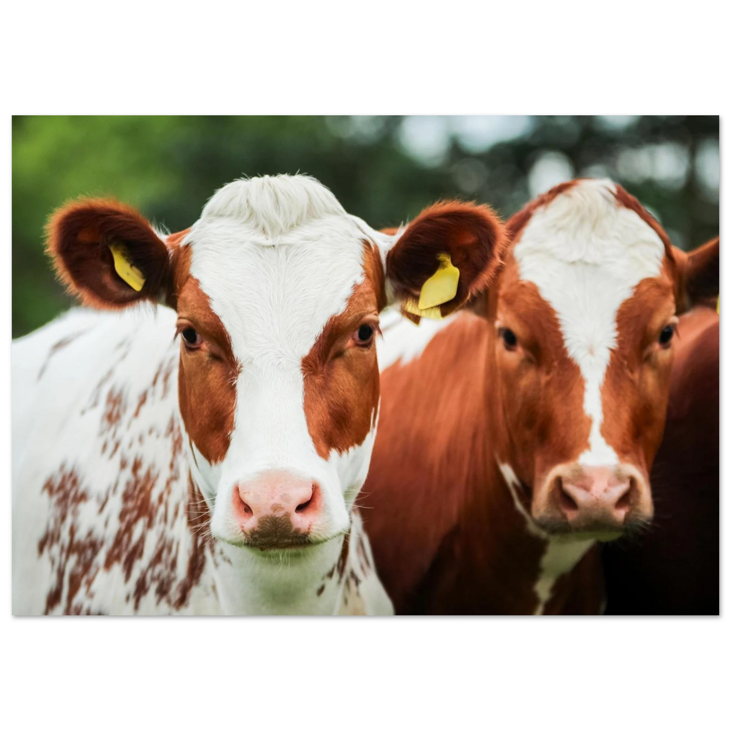 a18f891a-cb1b-45a0-b596-9ac642d5f22b