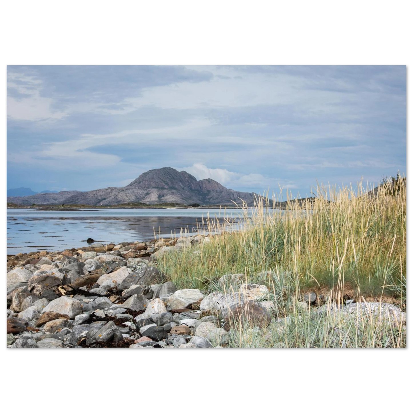 a7256bf9-42fc-4d7d-94b6-6bc31b301725