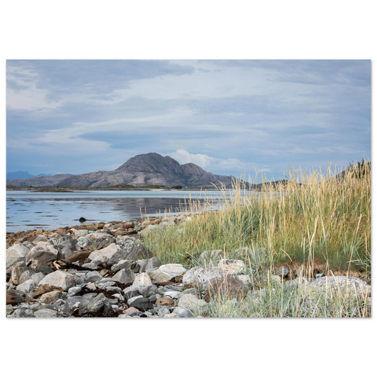 a7256bf9-42fc-4d7d-94b6-6bc31b301725