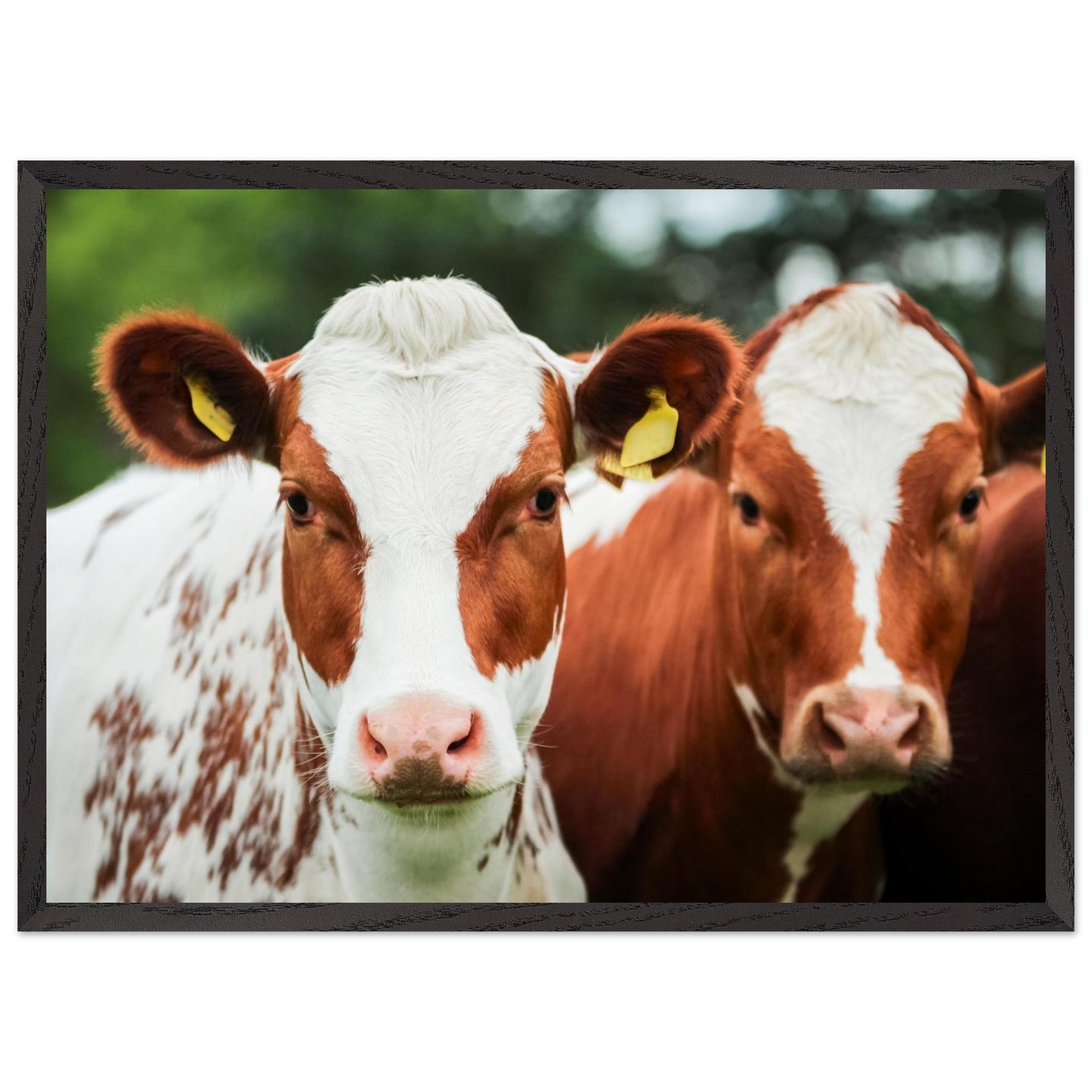 a883ccfc-d392-41cd-8a21-bd63f5535bfb