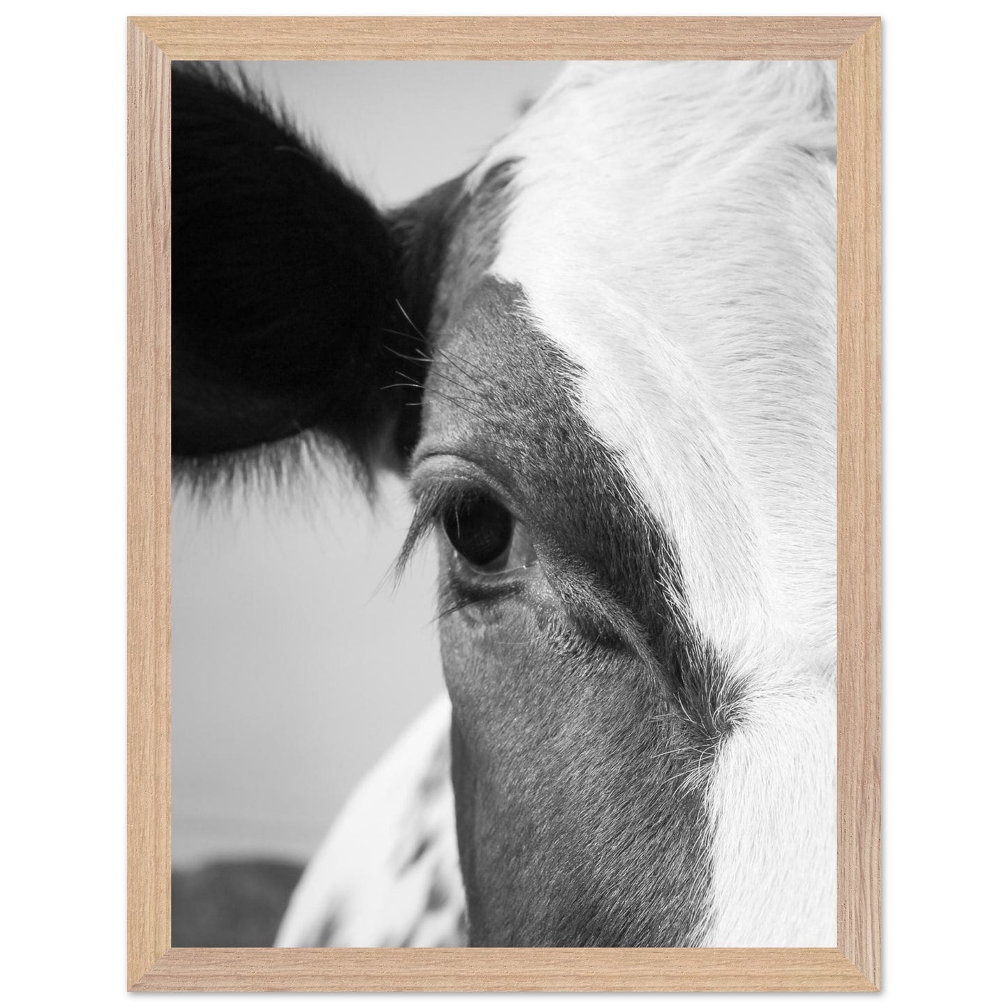 a974987e-bab6-4ea9-9594-9cfe760ef203