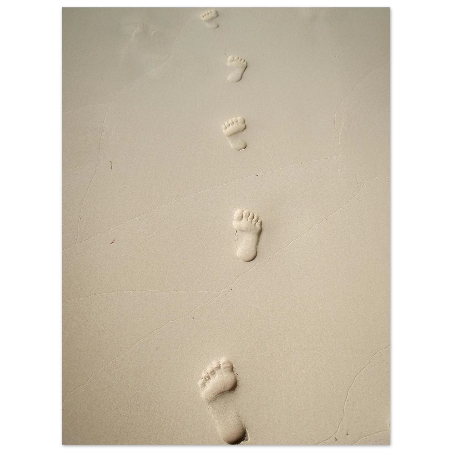 abb98ff2-25af-45ad-8d03-a99345a3bc76