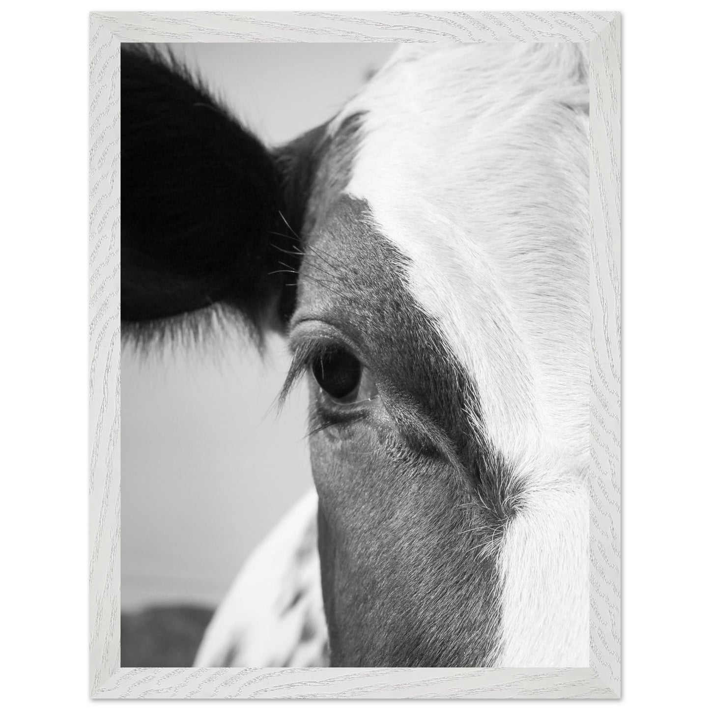 ad163cef-f9fc-4409-8e6d-151c8a34e836