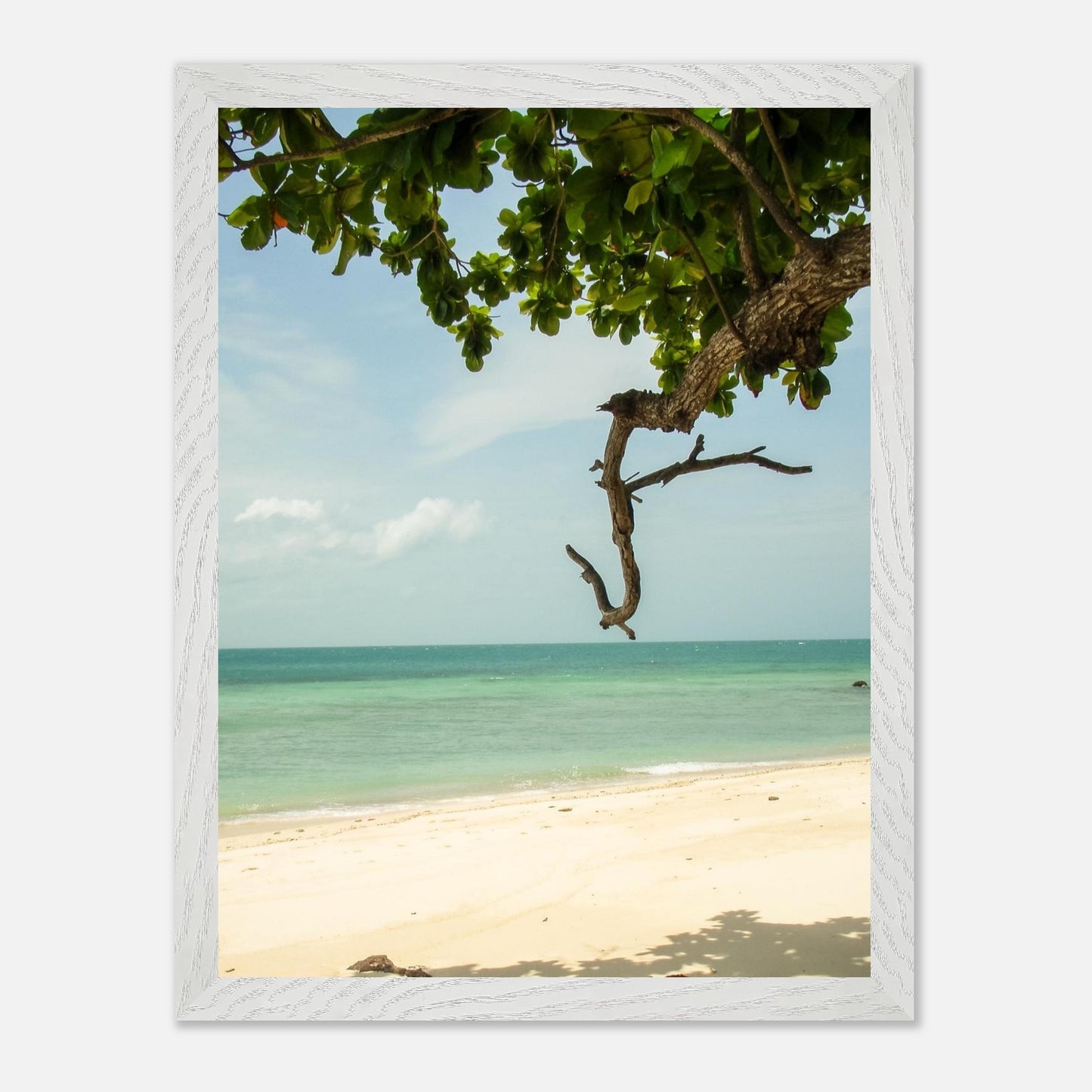 b202c5ff-29b7-4825-bc48-149e3a483d21