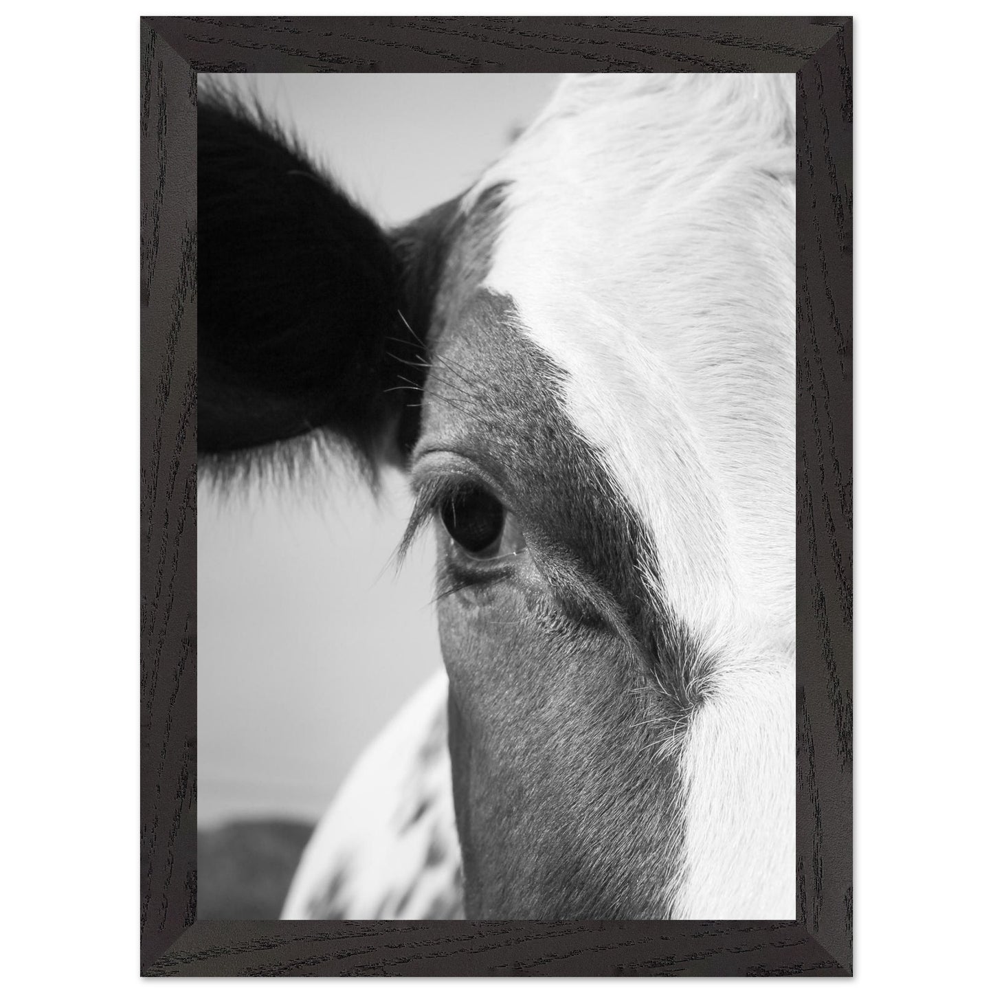 b5079908-2064-4219-8c59-ab7a48330324