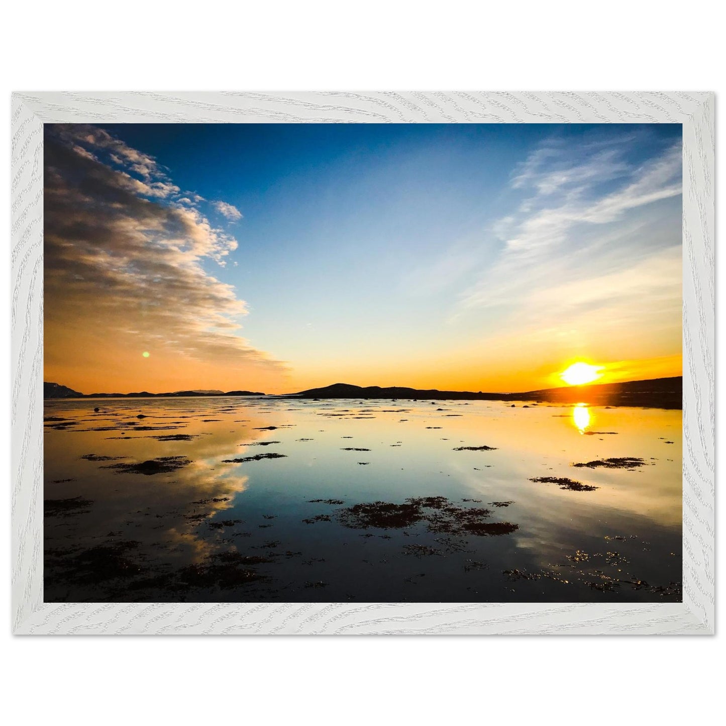 b5798617-2051-4e0d-9139-f88692b8ca2c