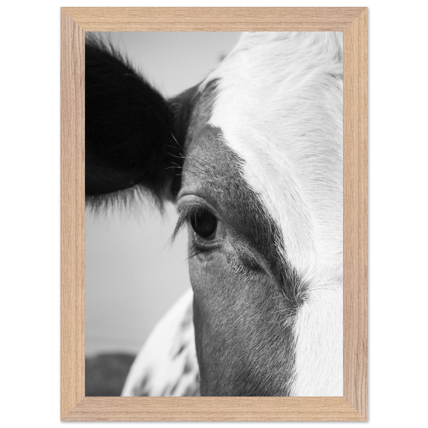 b70b889b-2447-49ea-a6e4-eec191daa073