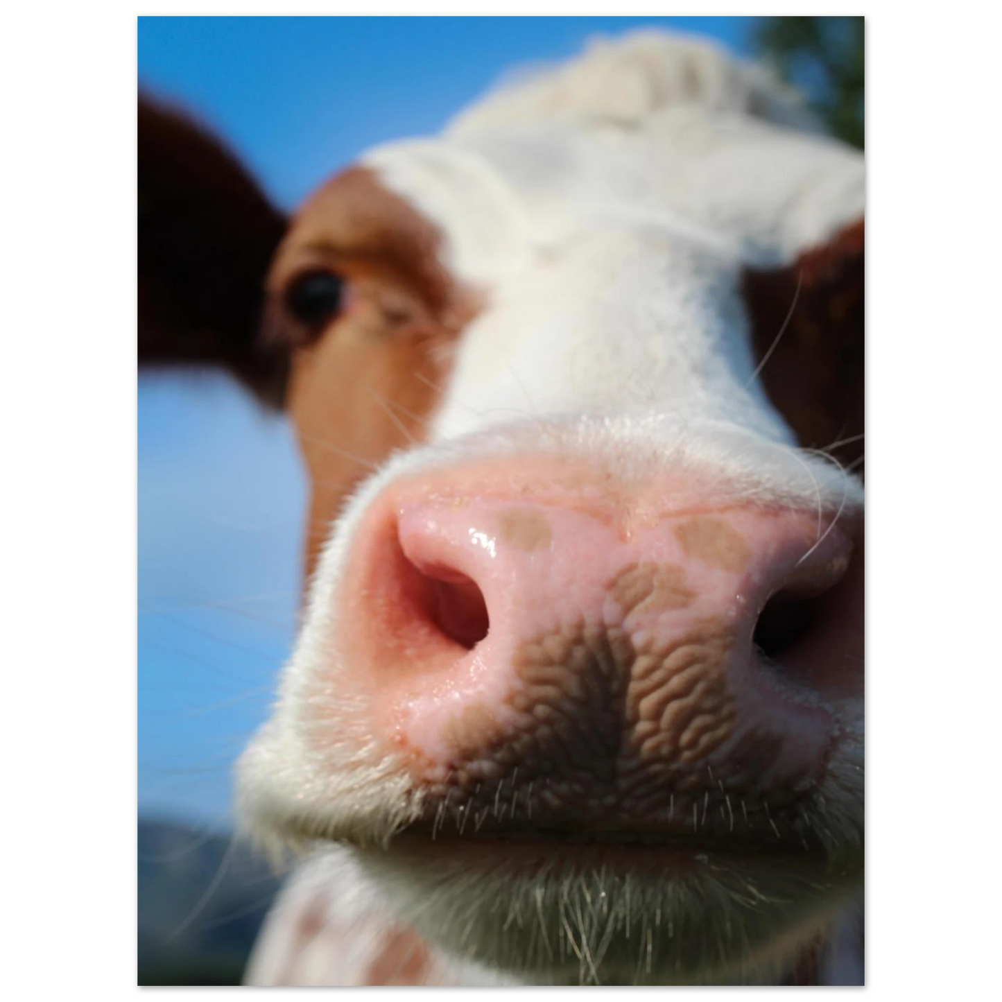 b71ef6ea-db16-47e2-96ef-d9b50e08c20a