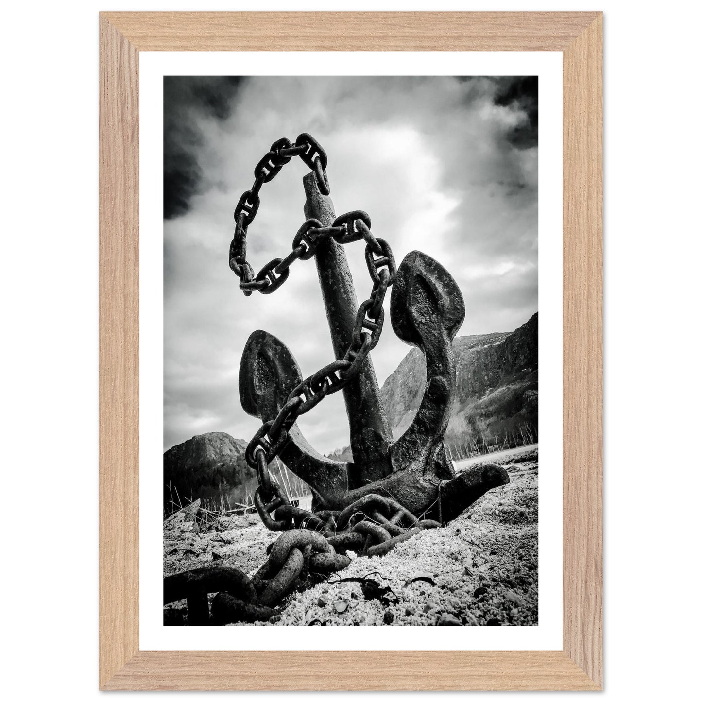 b72b371a-7a55-4c66-87f0-c8b719df93ca