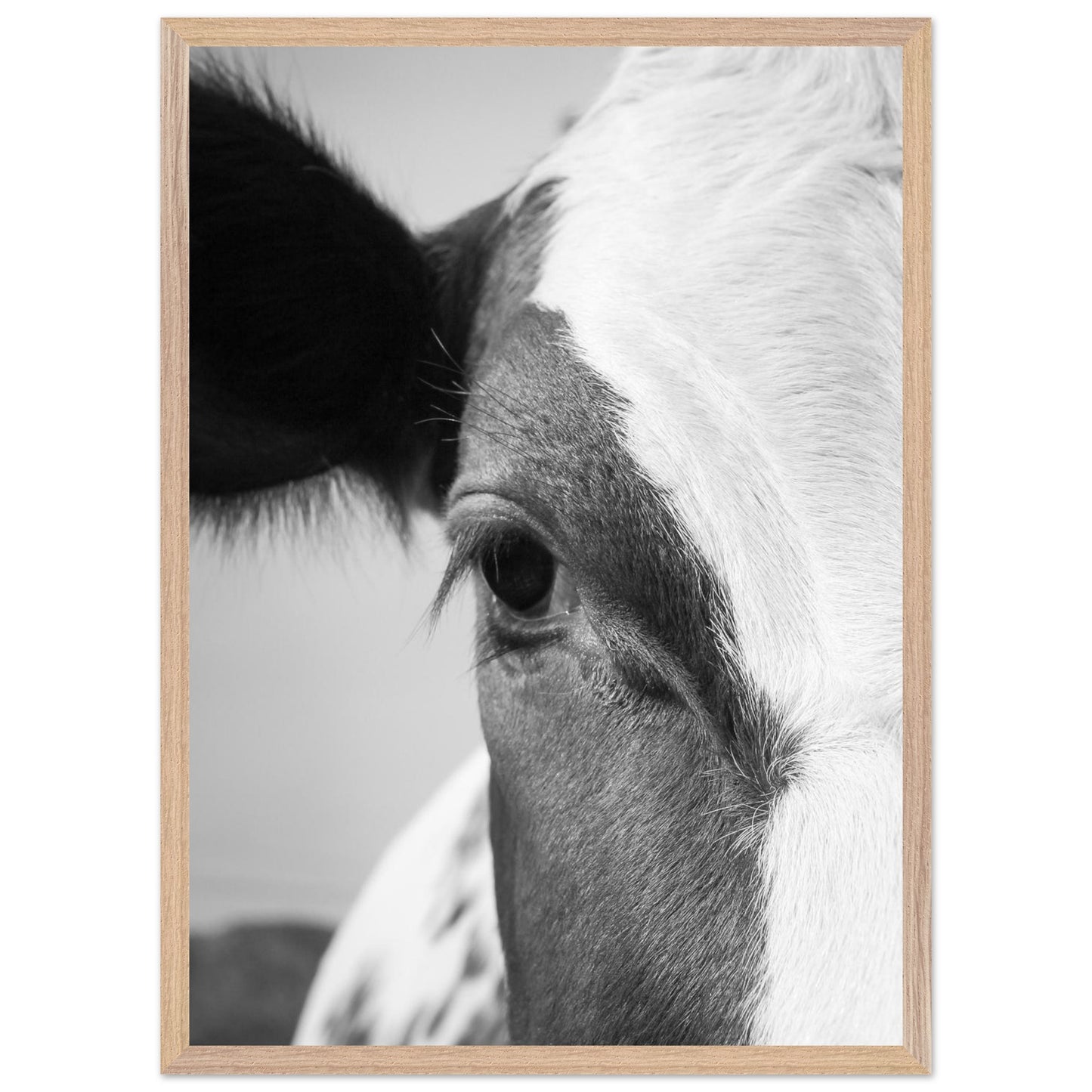 b7ff8b04-3d72-4102-bc28-f4433ebdd566