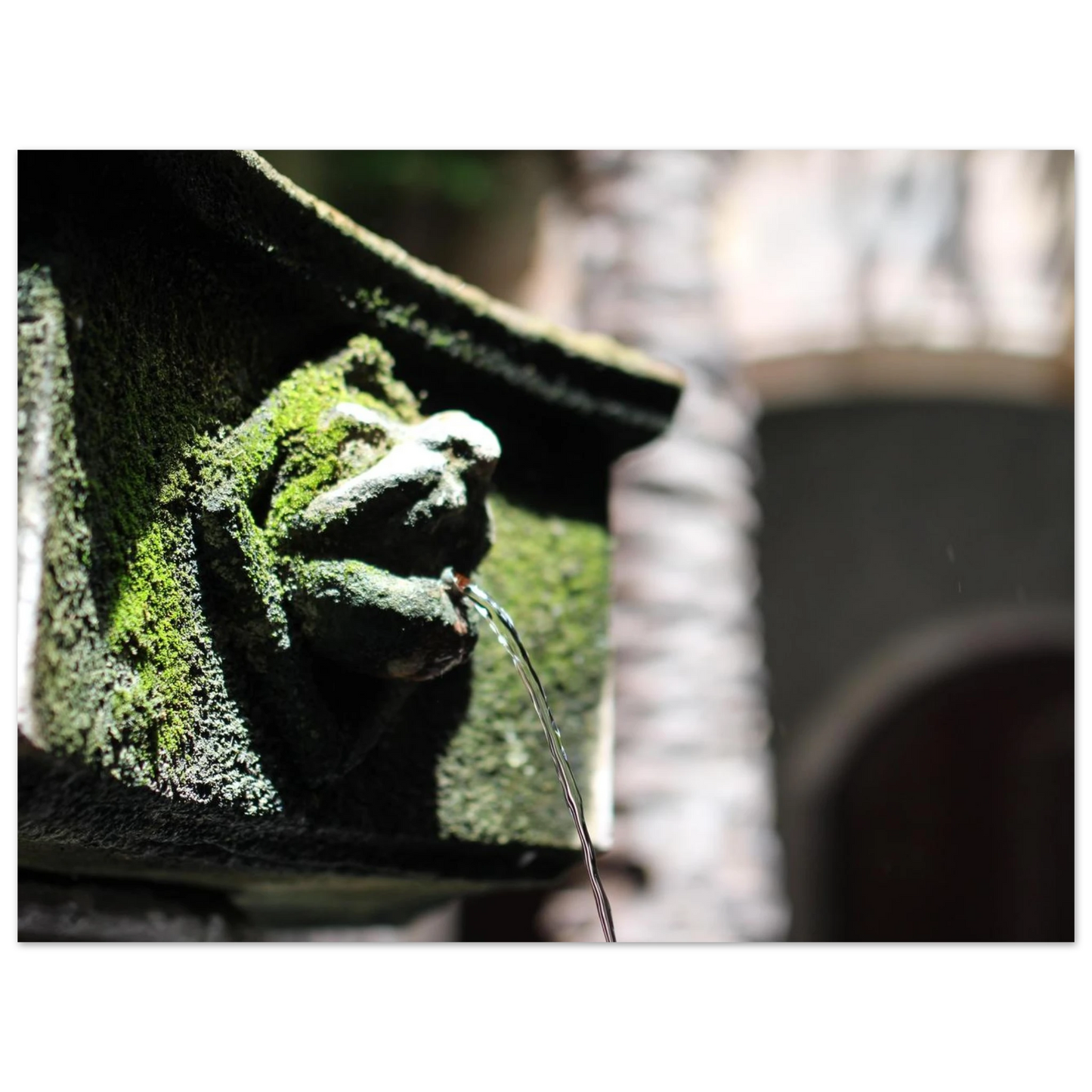 b8406aed-8c5f-4c08-88b3-be074f574d3a