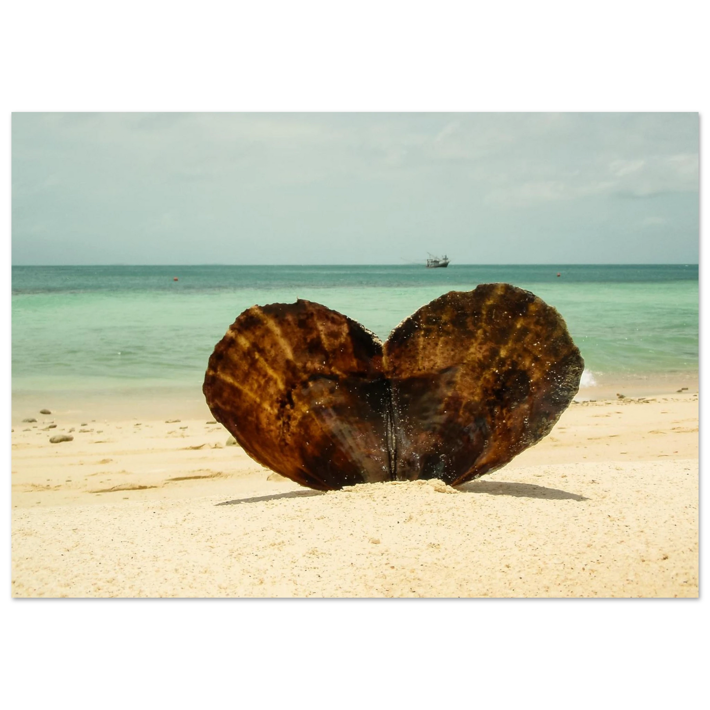 b97701b5-a689-4092-8268-0f6bb3d31a33