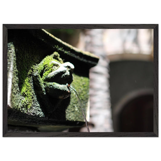 bd387d95-4e6e-4e2c-b22e-8853386ec246