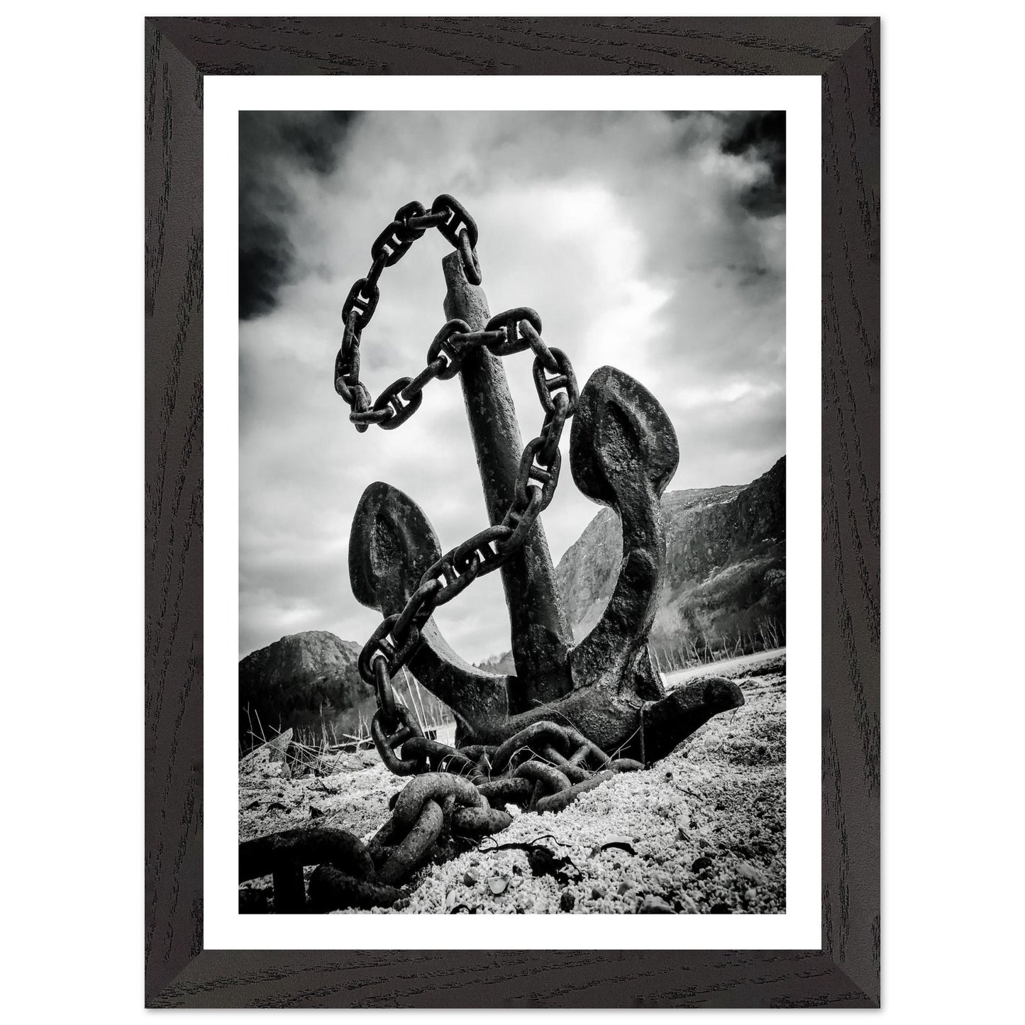 bf410b14-6e6e-4300-9e4b-55a4ddc7a406