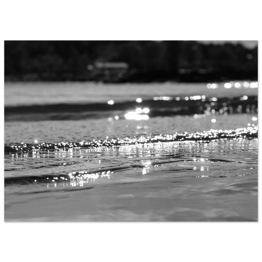 c0649a29-f16b-433e-9ab4-72ee0b8b837b