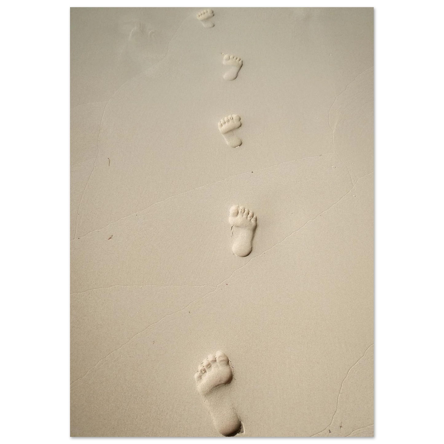 c32d7292-4549-4f64-885d-86667849457b