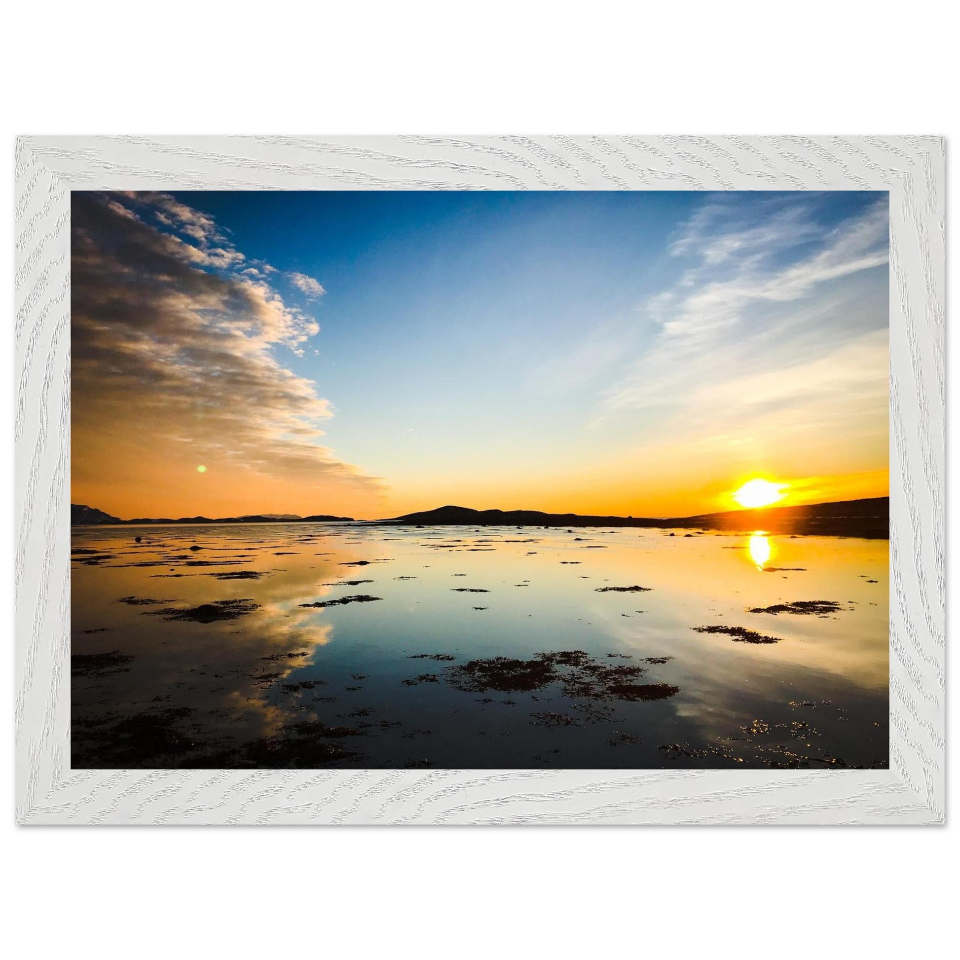 c558b0d6-a96e-4133-8a75-39f2d9610094