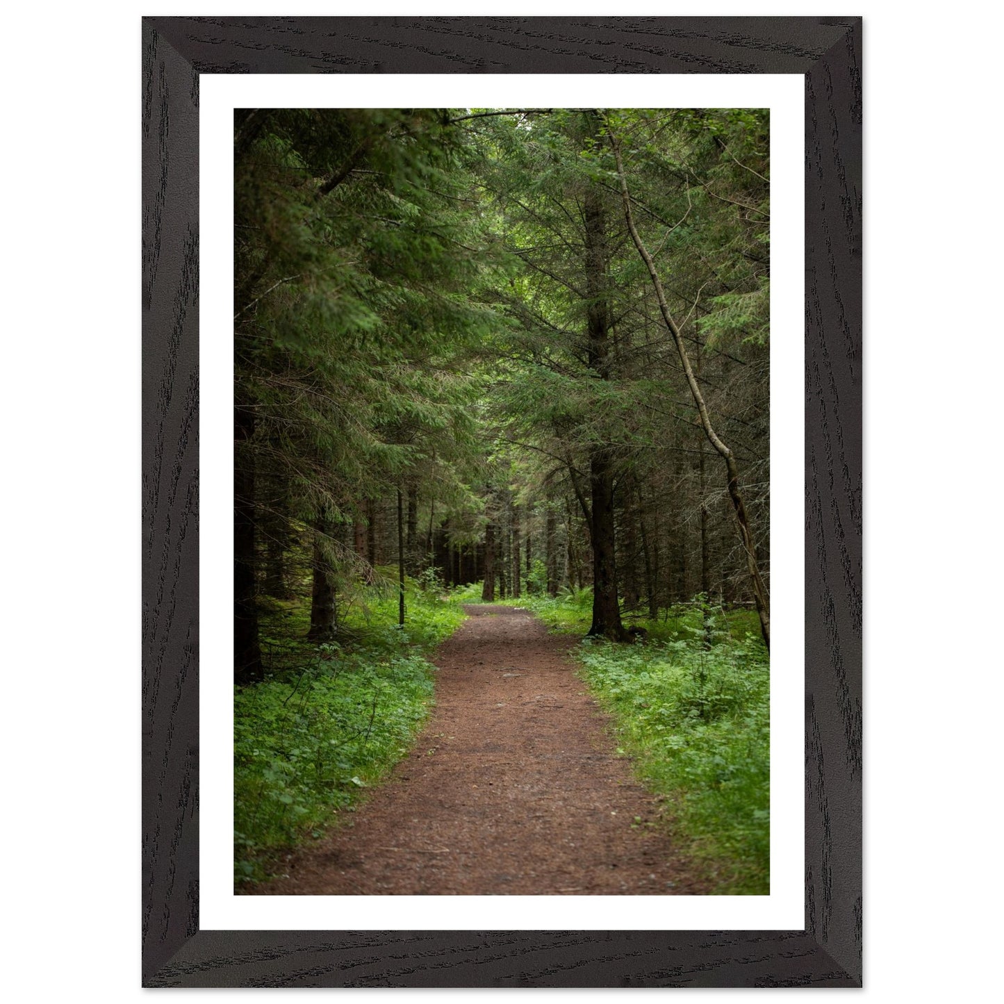 c576ab0b-e7dc-4fb1-8c44-13f7036b27a3