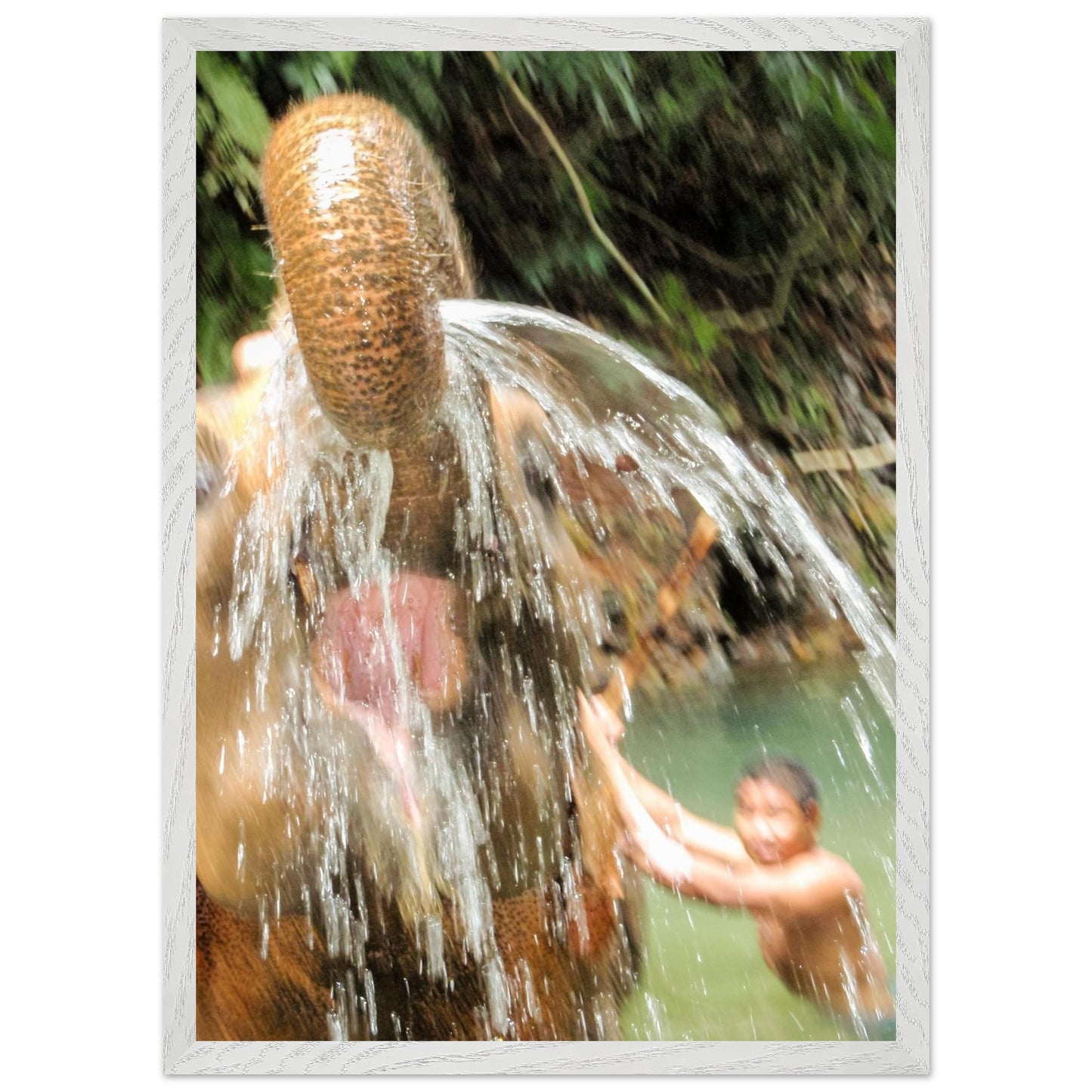 c6aa9c43-ad87-452a-999d-a599c4caff7d