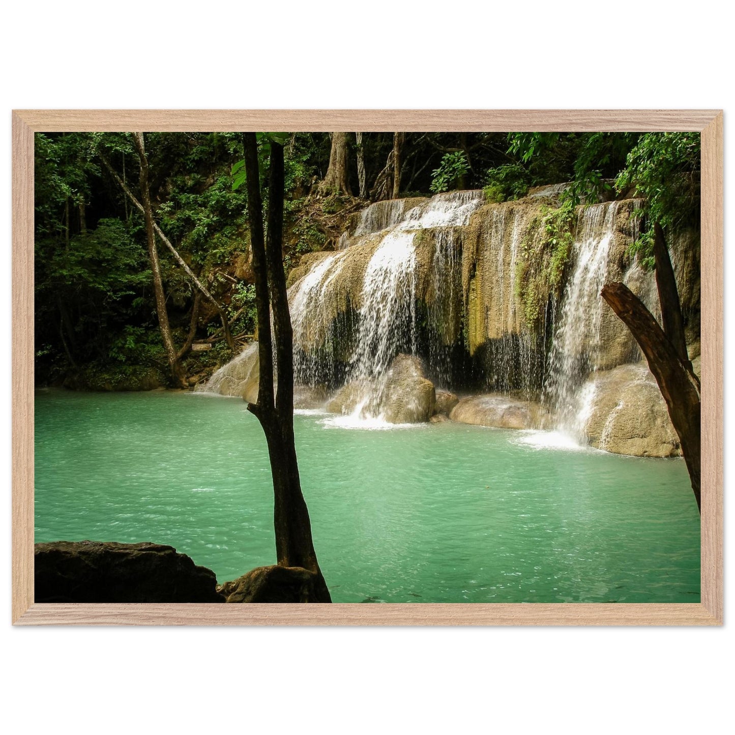 ca8fa3f1-58d7-4538-8999-f546415c2c79