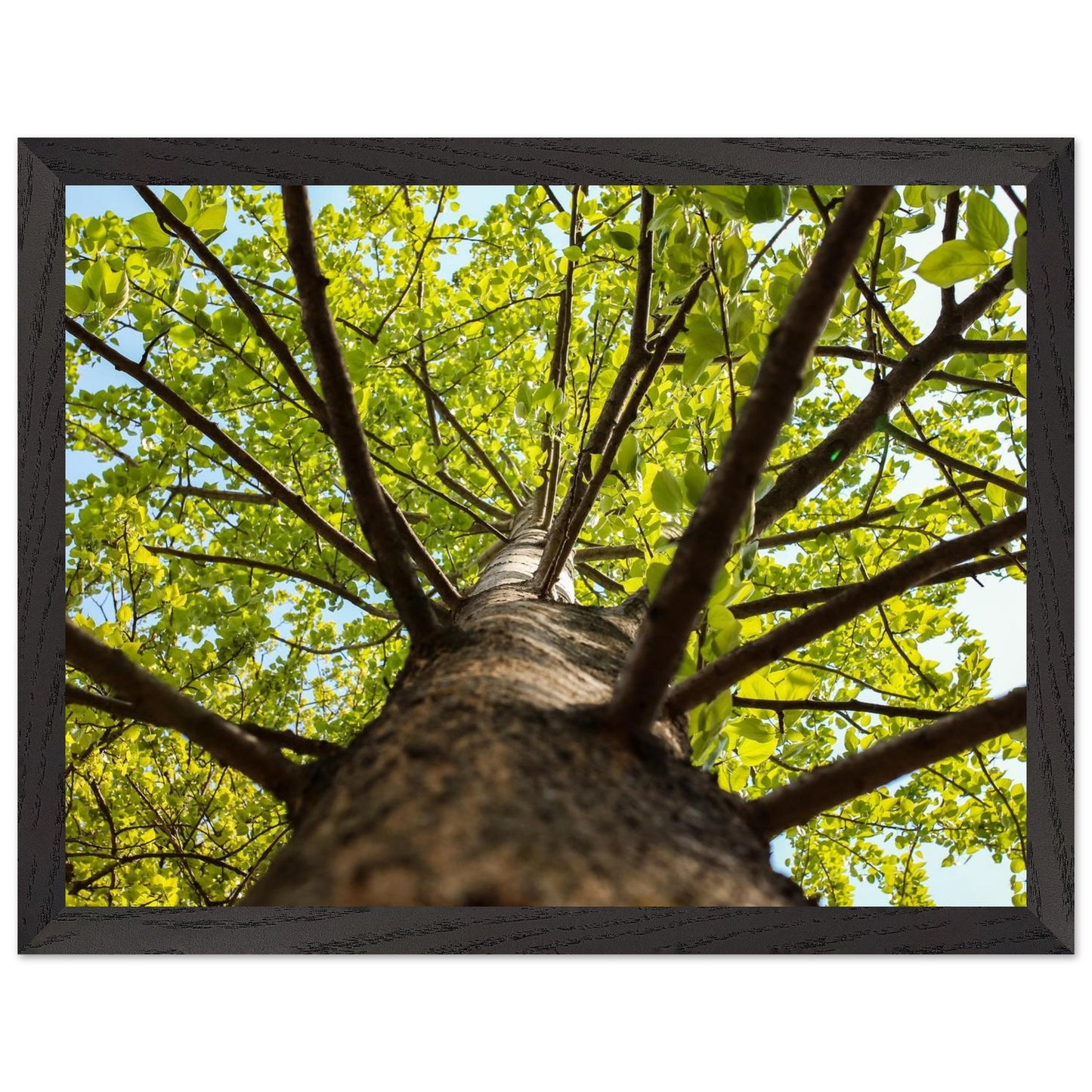 d3d8eda9-6f6c-4523-af92-aef26bf58151