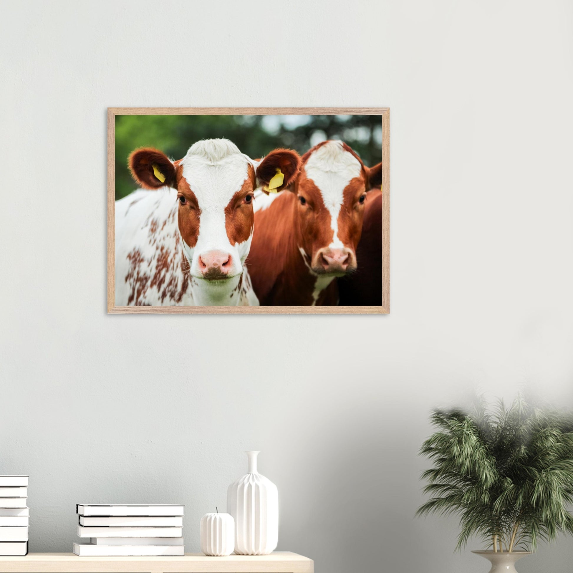 d3ff6001-fdba-4b55-bc2a-1e7ad318144b