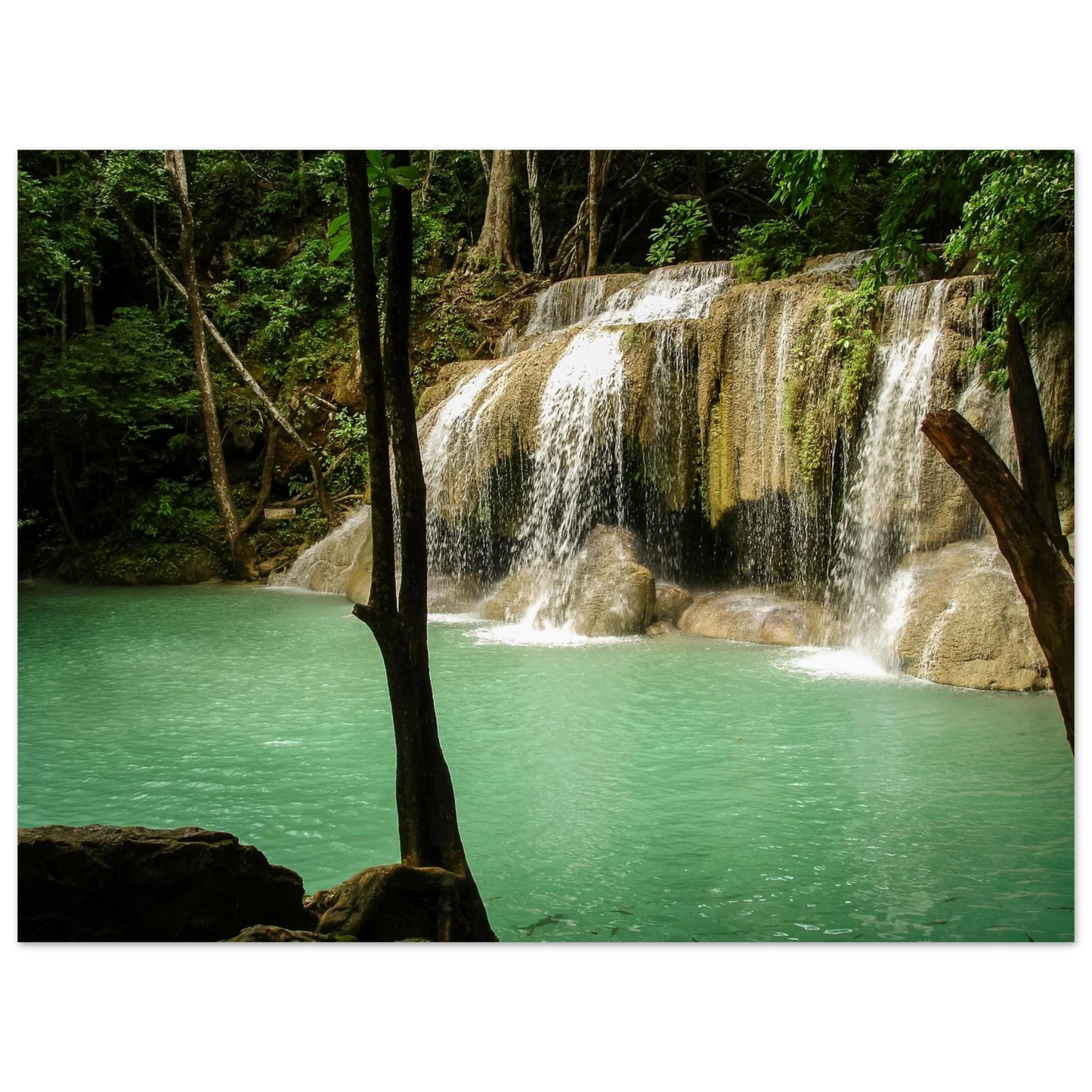 d6543c4e-06b5-4ac0-bc96-abc741d4e62c