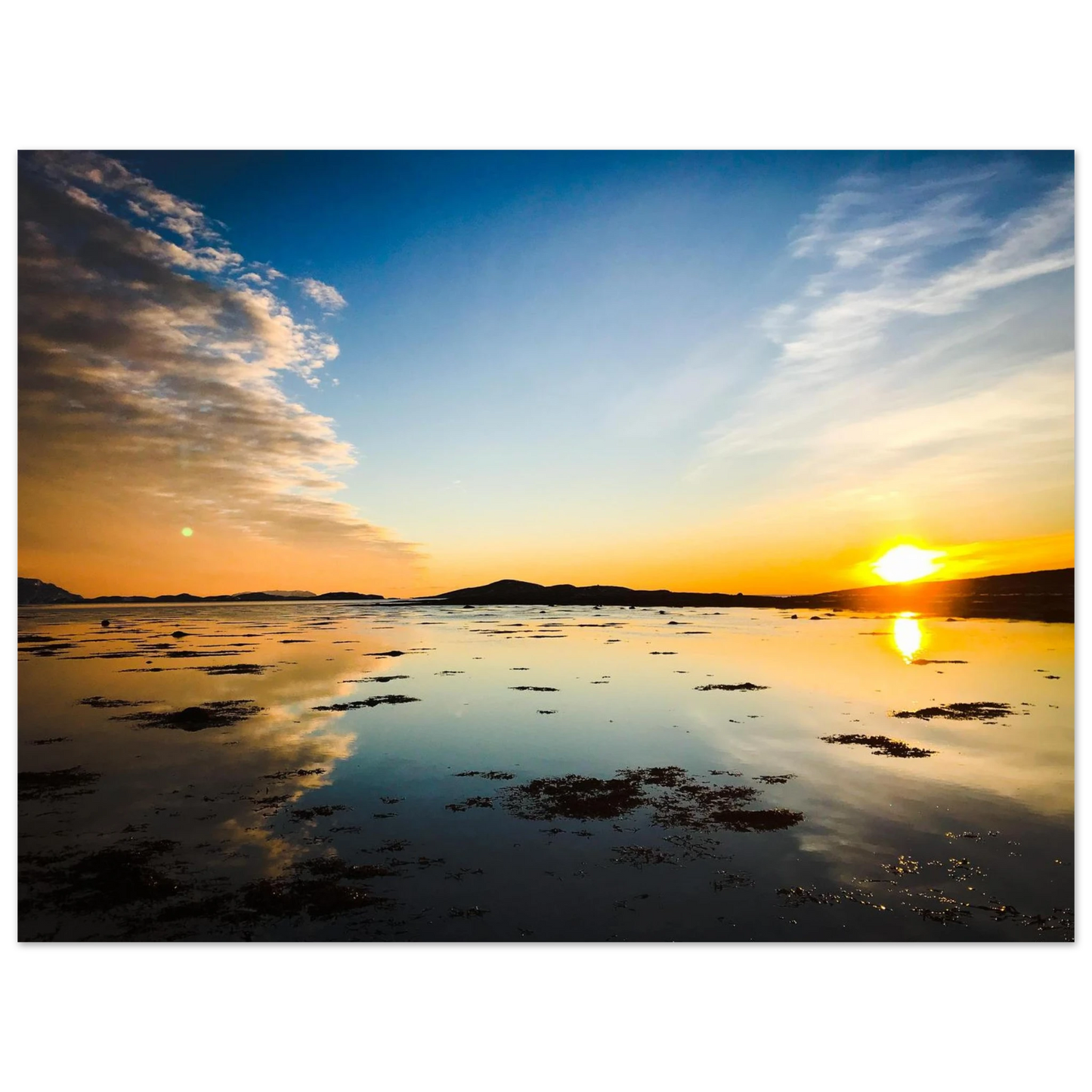 d839a1d1-81fa-4feb-bd1e-be4f5cf7afcf