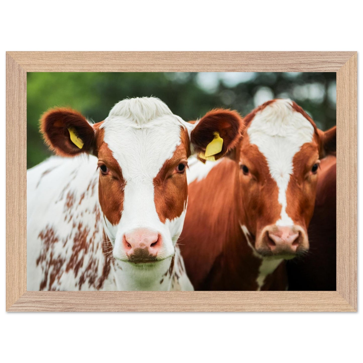 d8d49468-cc02-4ce6-b1c1-97040dd93b2b