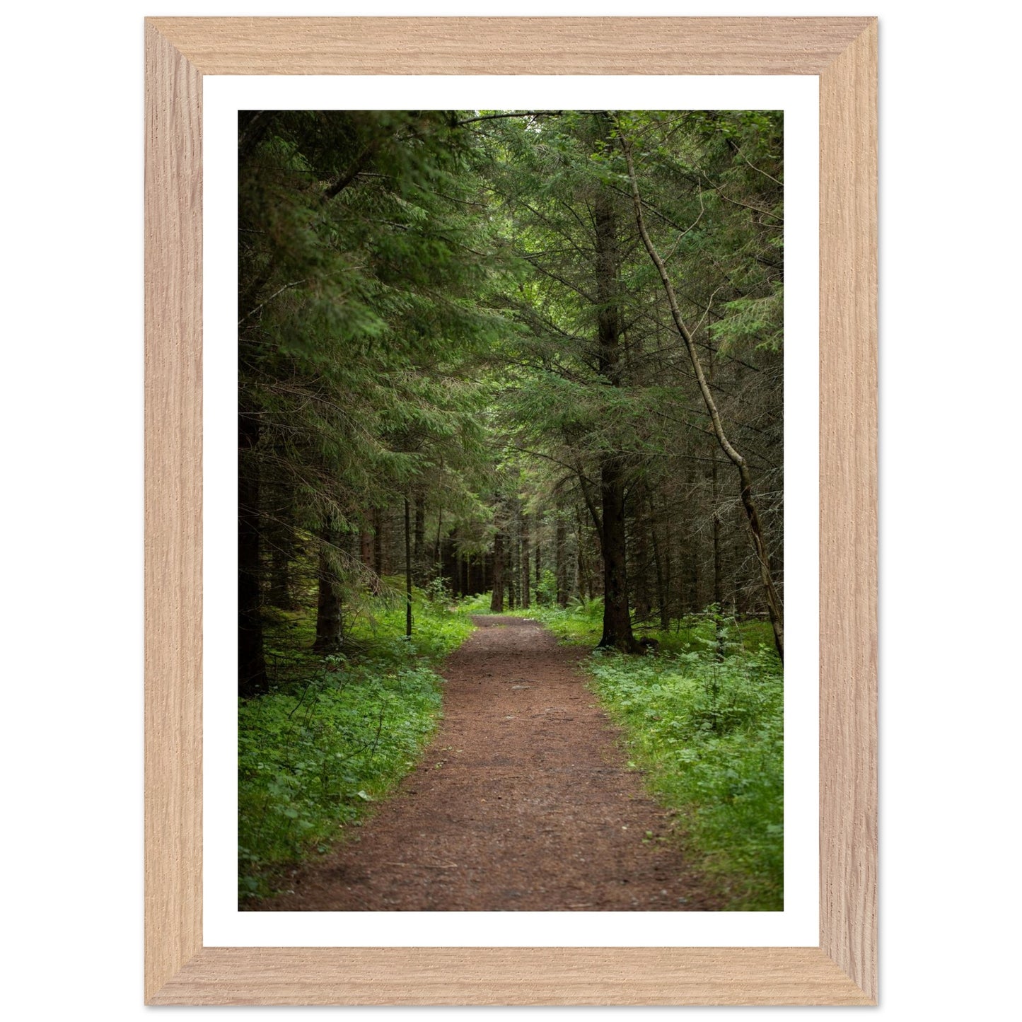 dbfc670c-0d40-4543-95f1-9a1d0617e434