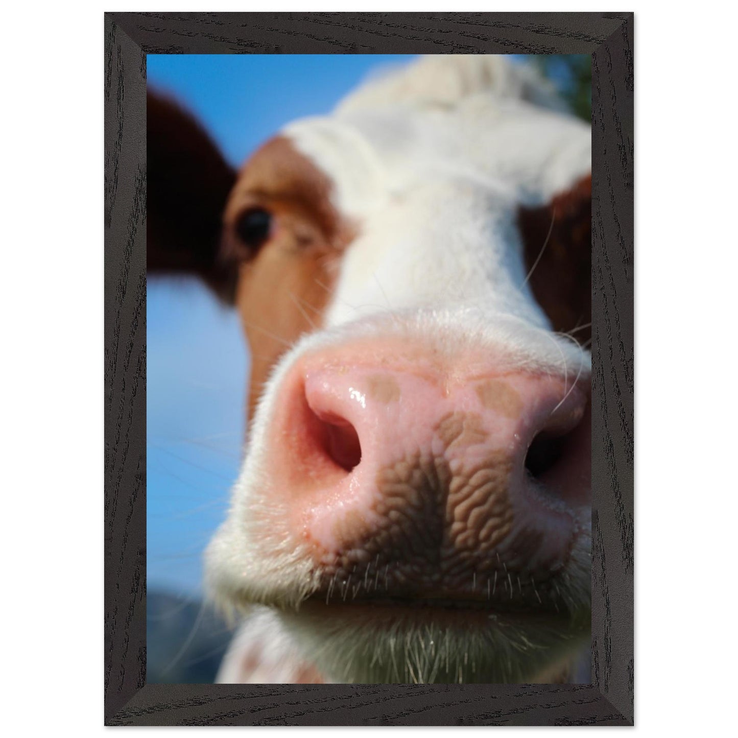 dd2729c2-2f72-434a-ba25-788f3d278198