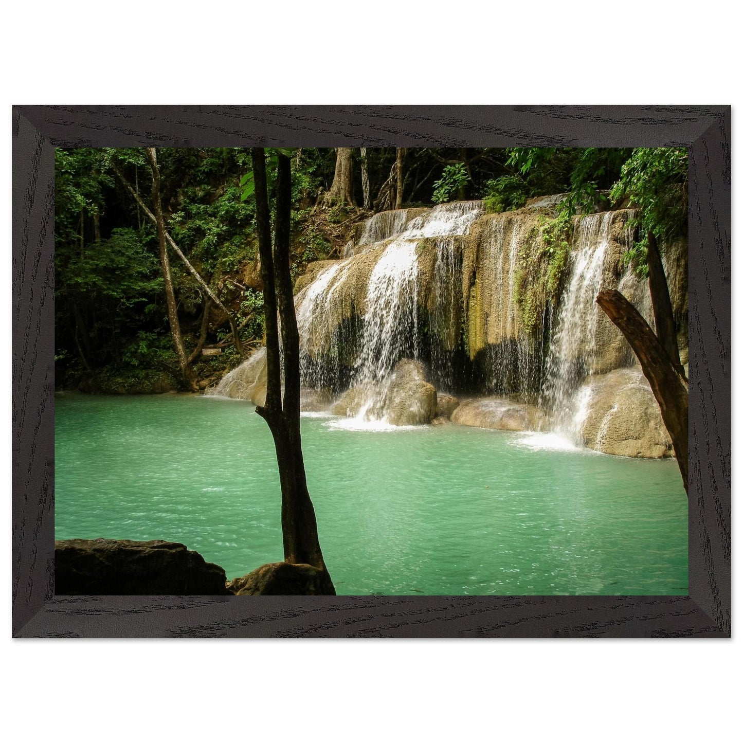 df8095a3-a7e4-4fff-b38e-e7ccdcdf7621