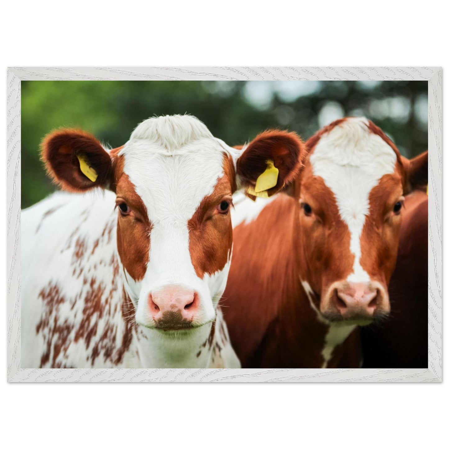 e0394265-3ca5-468d-87ee-5a22746407ad